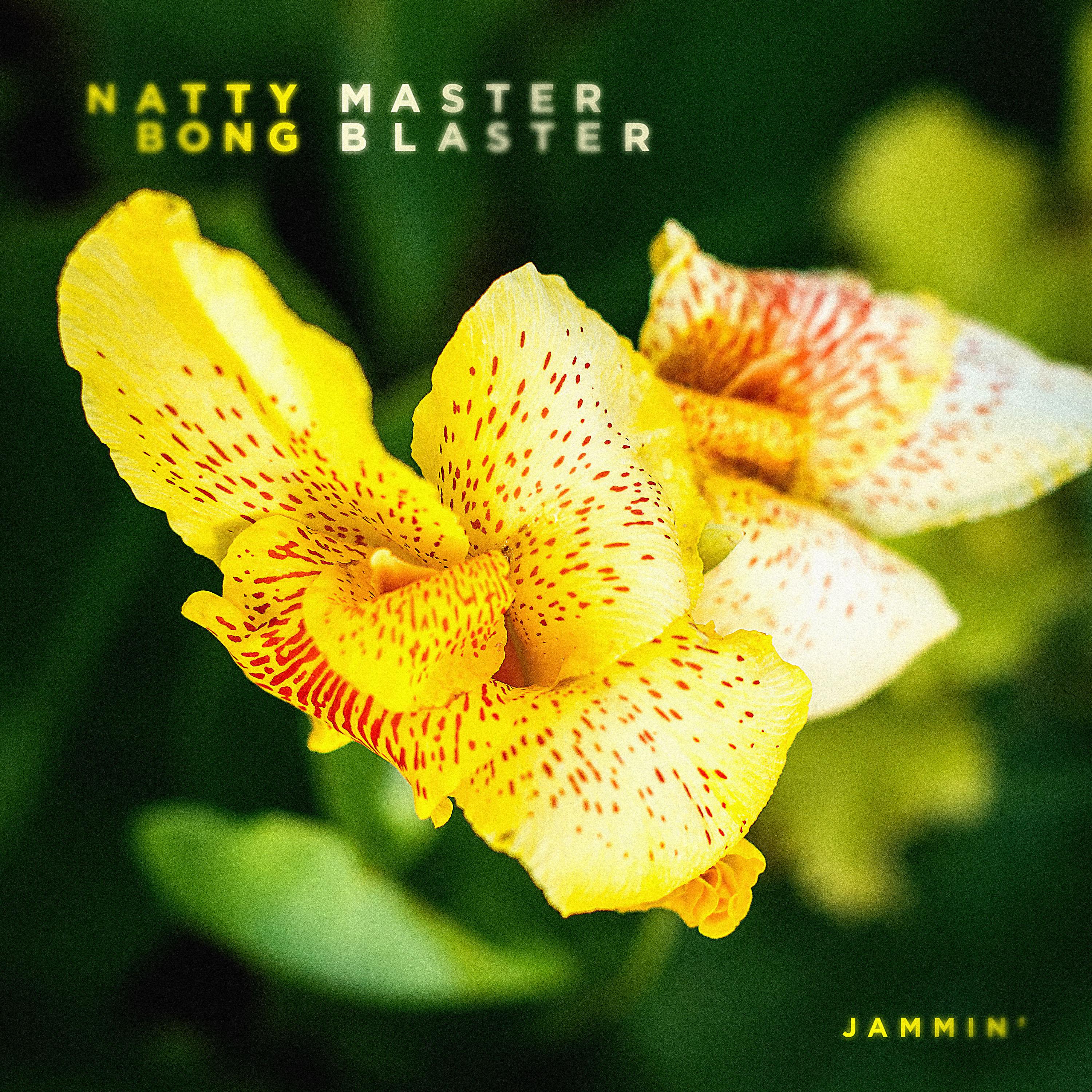 Постер альбома Master Blaster (Jammin')