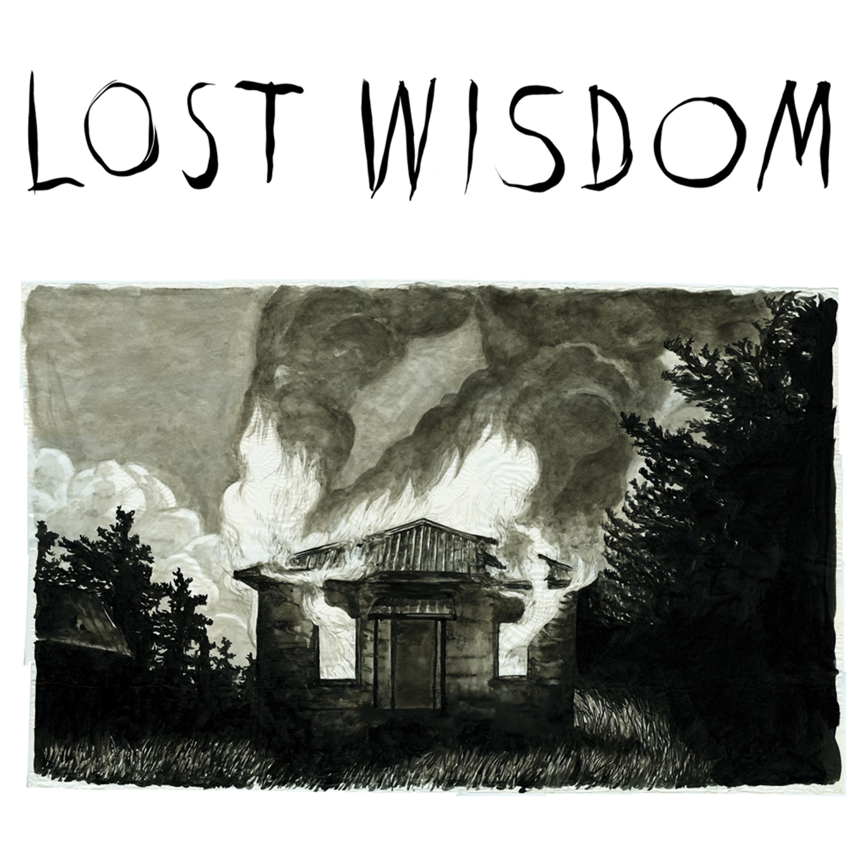 Постер альбома Lost Wisdom
