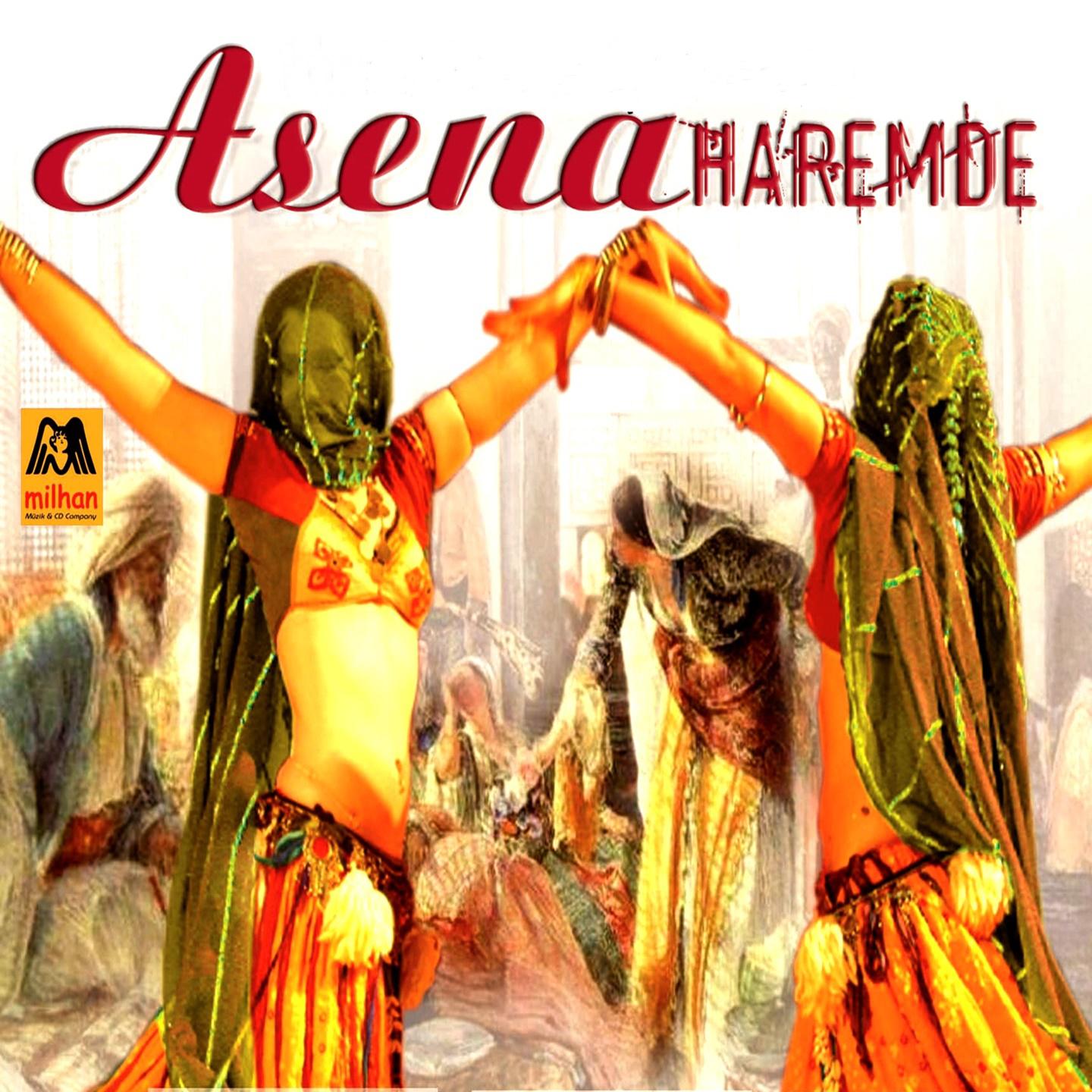 Постер альбома Asena Haremde