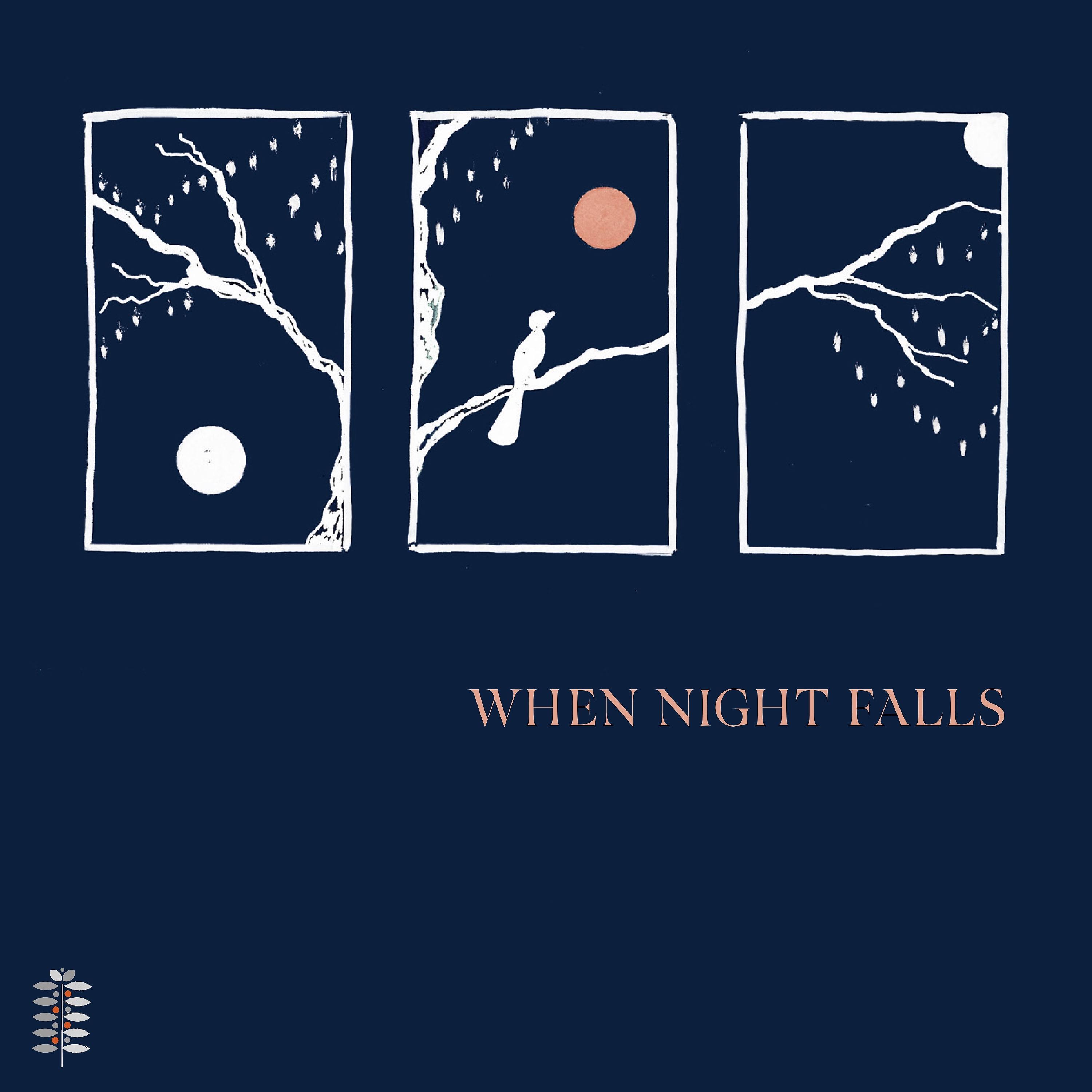 Постер альбома When Night Falls