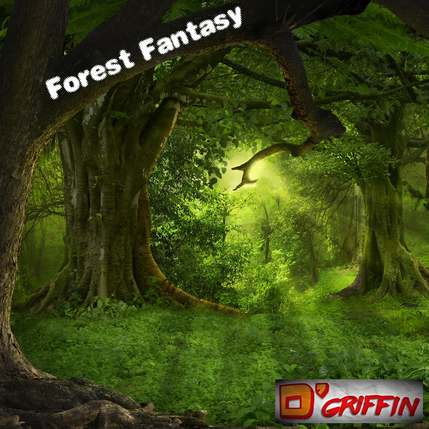 Постер альбома Forest Fantasy