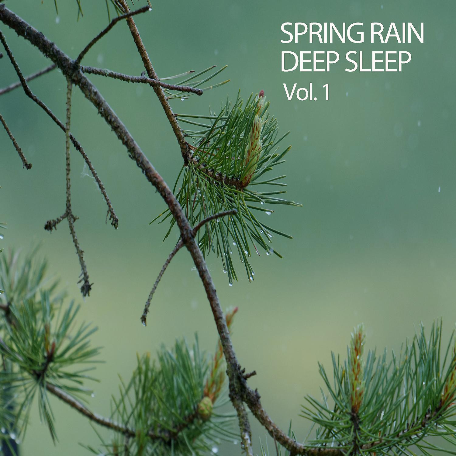 Постер альбома Spring Rain Deep Sleep Vol. 1