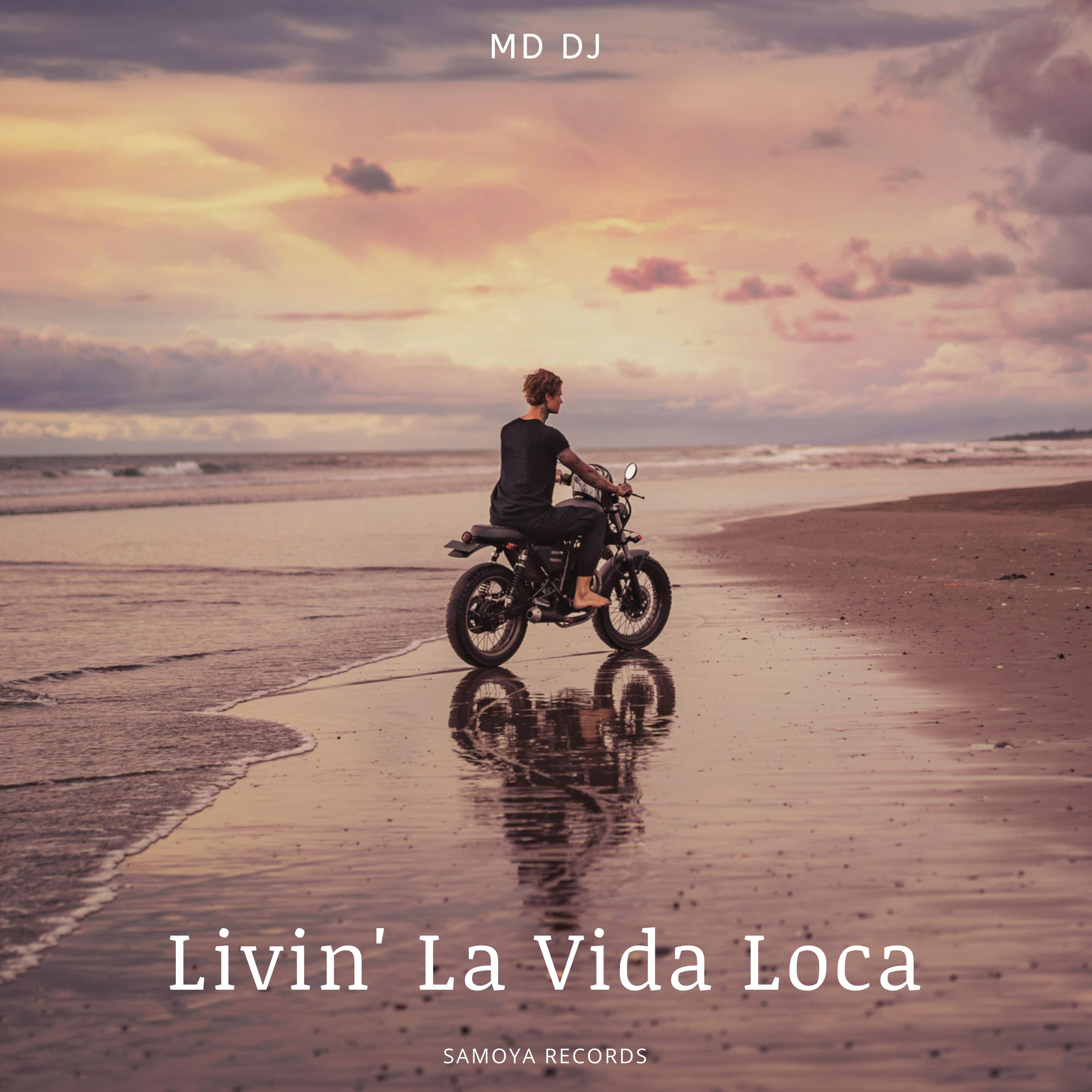 Постер альбома Livin' La Vida Loca