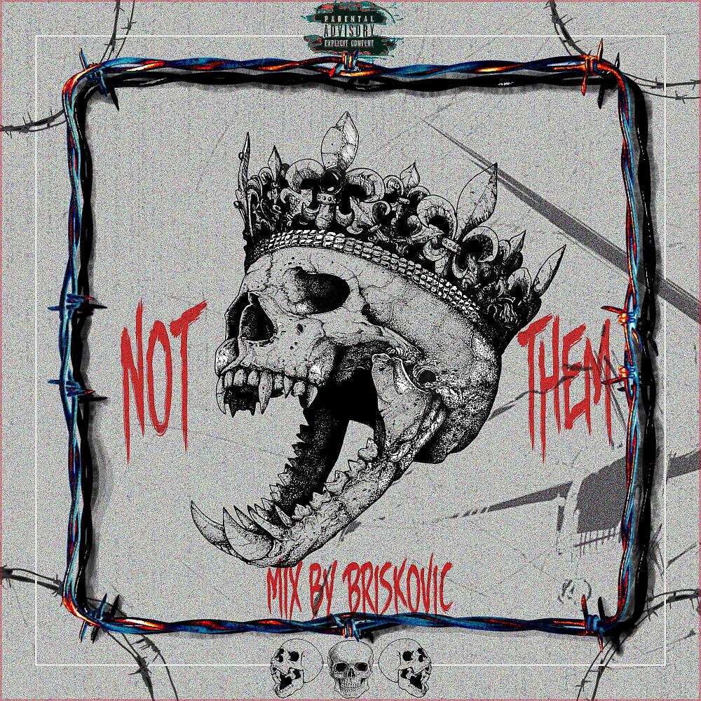 Постер альбома Not Them (Remix)