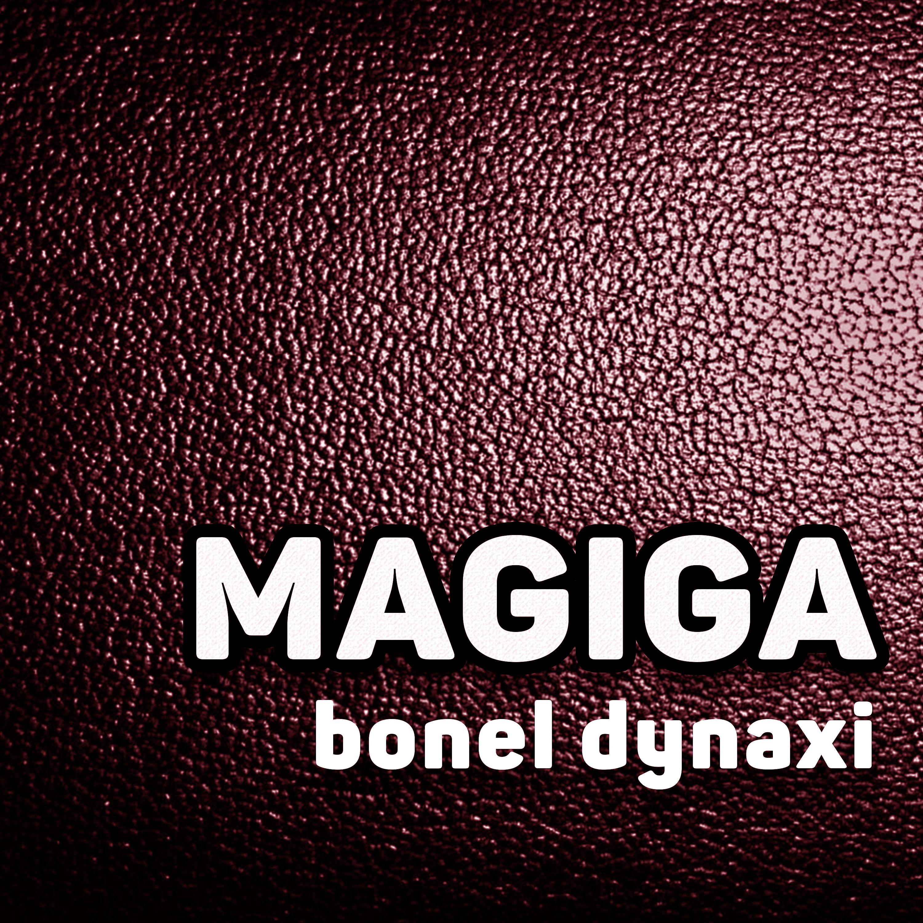 Постер альбома Magiga