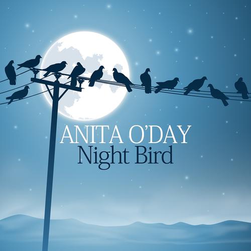 Постер альбома Night Bird