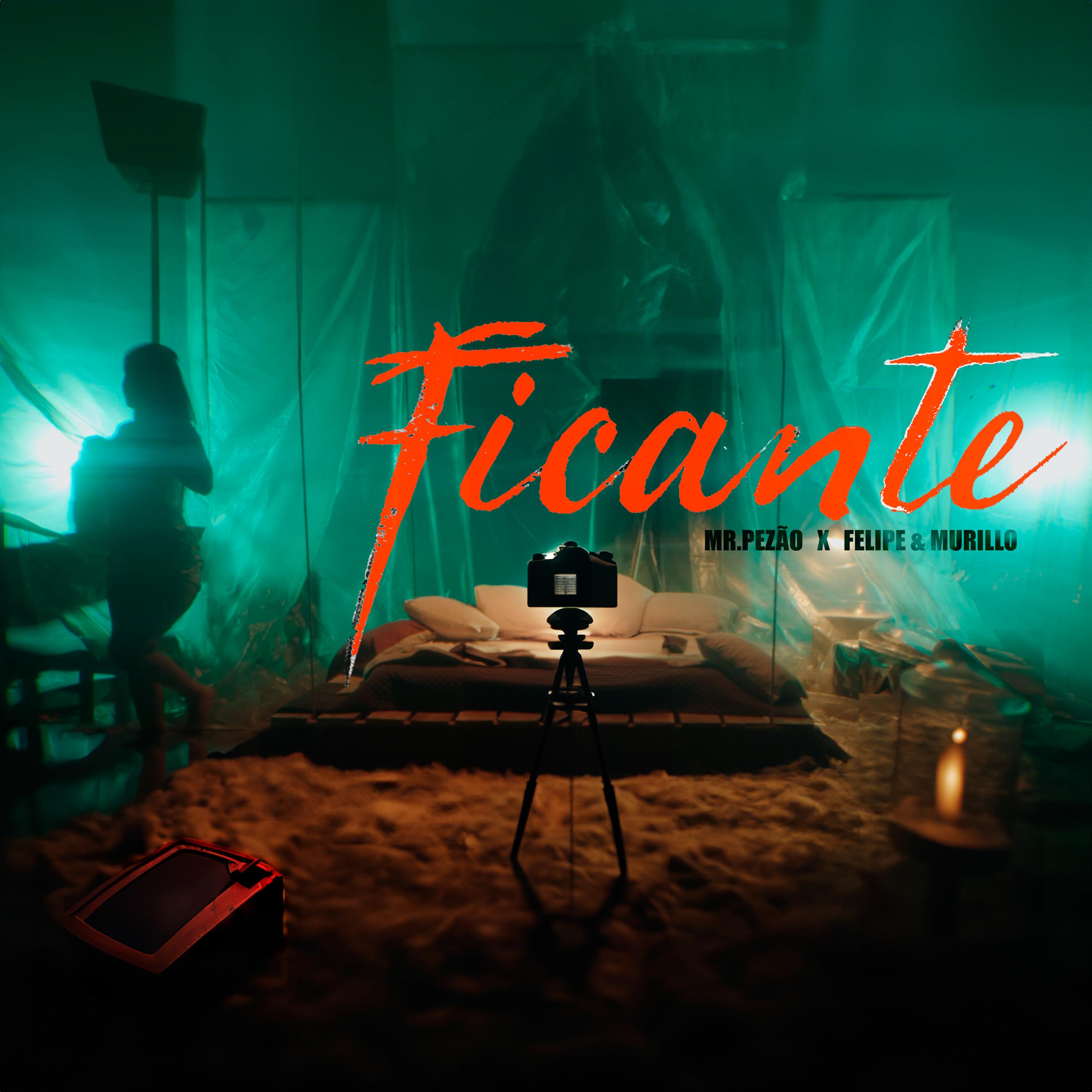 Постер альбома Ficante