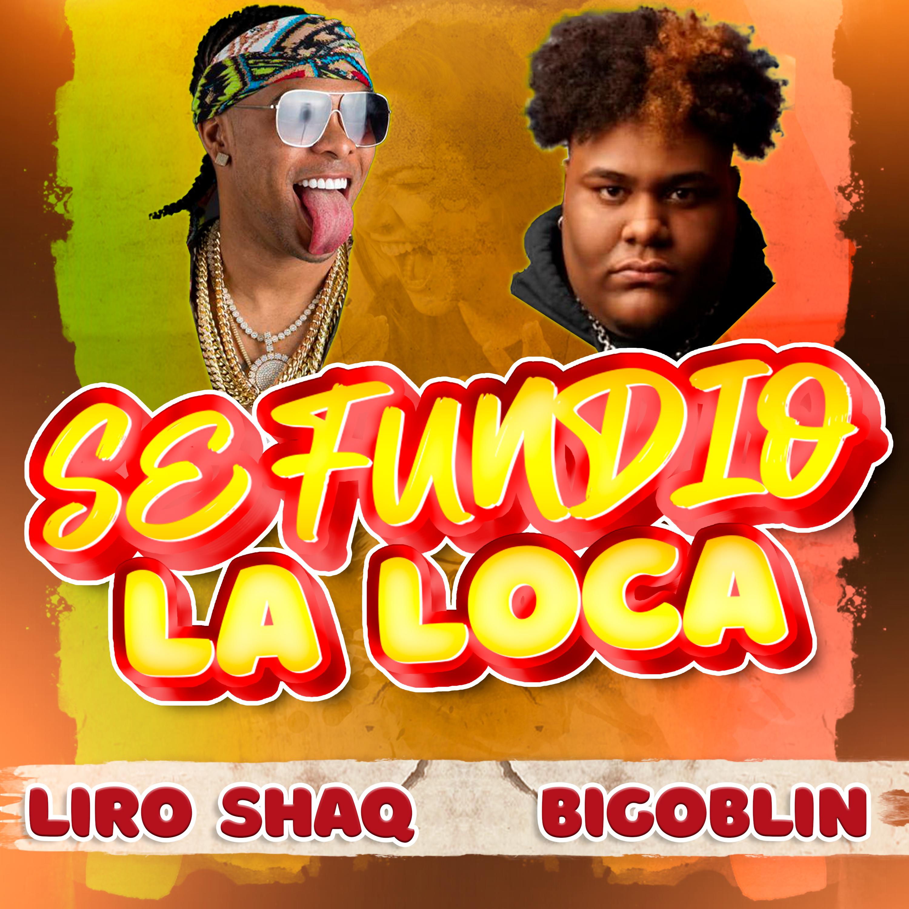 Постер альбома Se Fundio la Loca