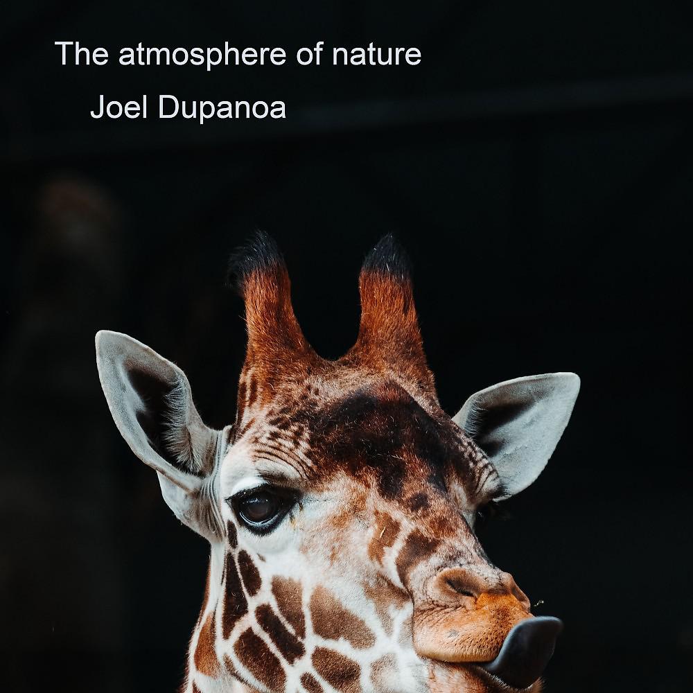 Постер альбома The Atmosphere of Nature