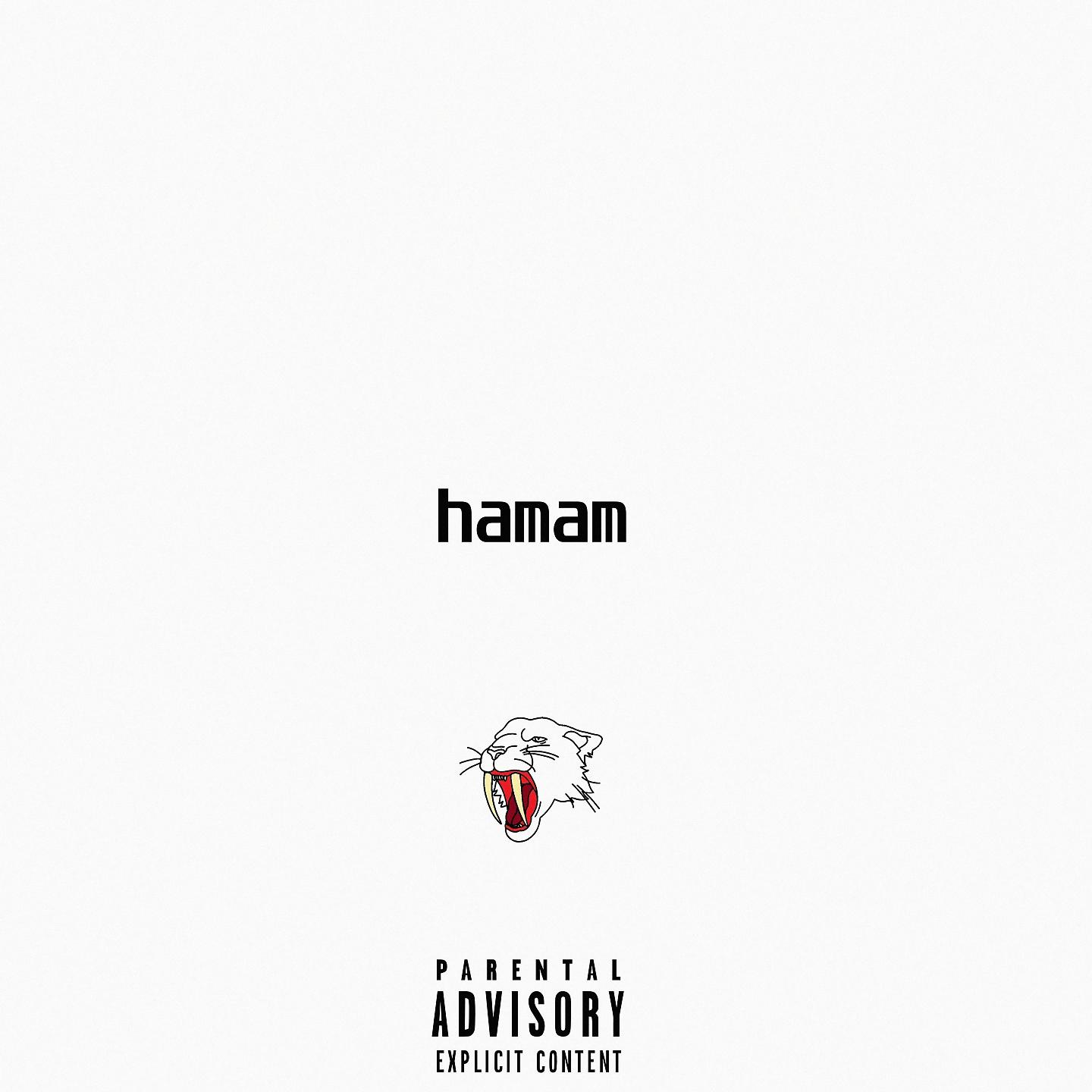 Постер альбома hamam