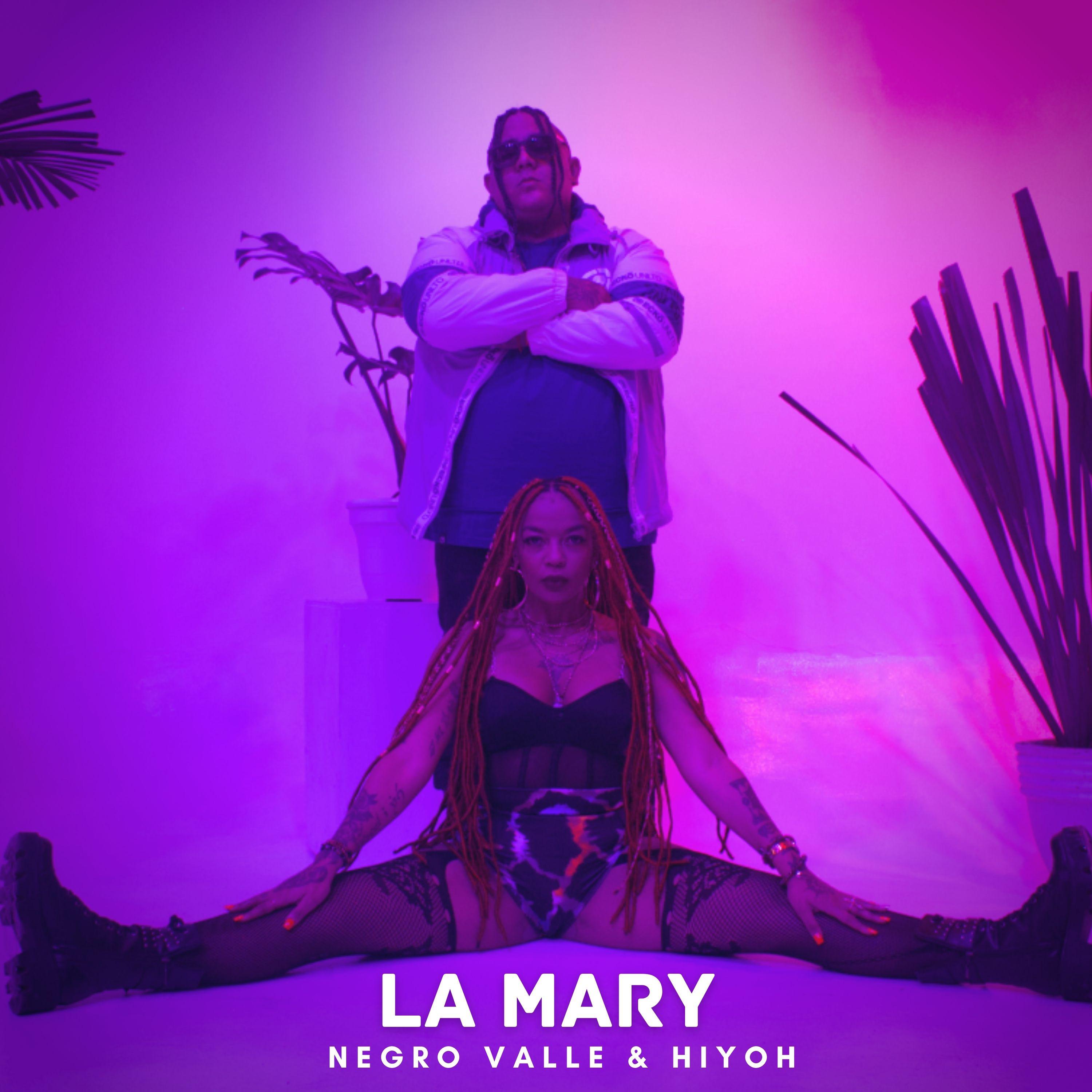 Постер альбома LA MARY