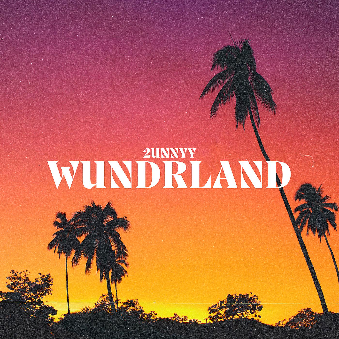 Постер альбома Wundrland