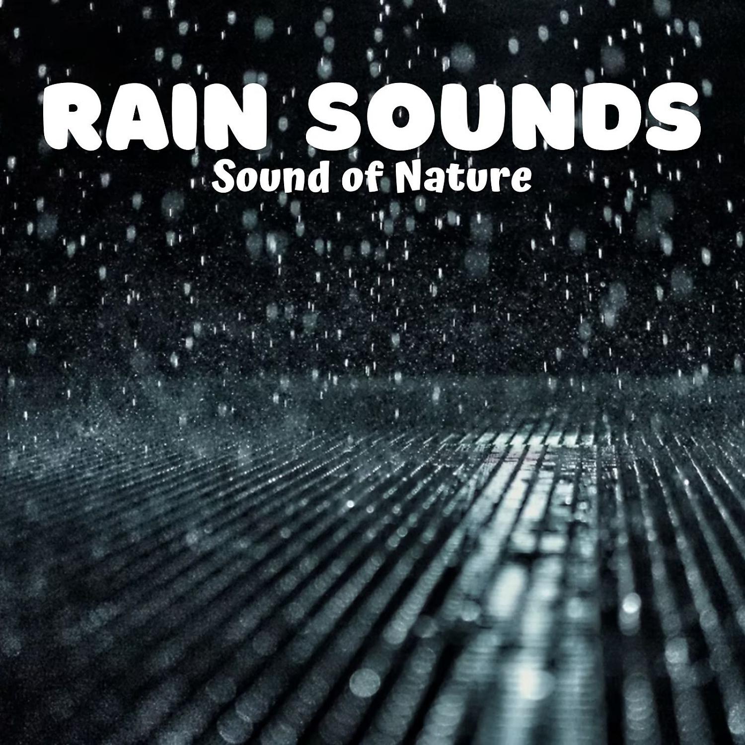 Постер альбома Rain Sounds: Sound of Nature
