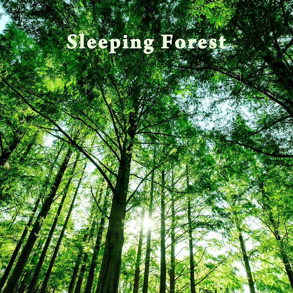 Постер альбома Sleeping Forest