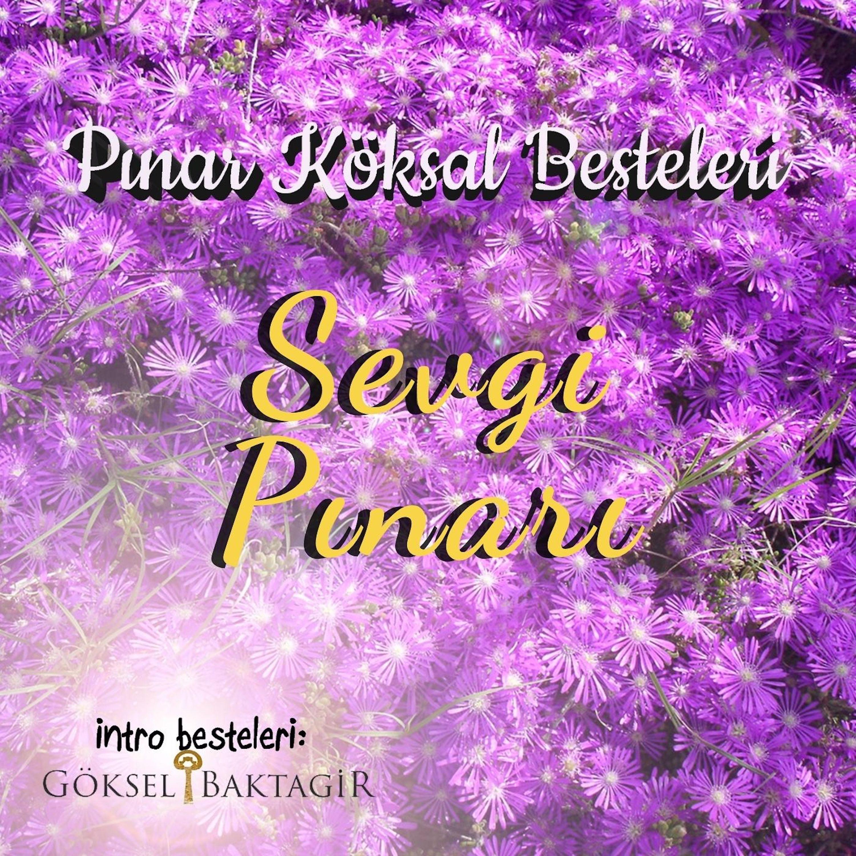 Постер альбома Pınar Köksal Besteleri - Sevgi Pınarı