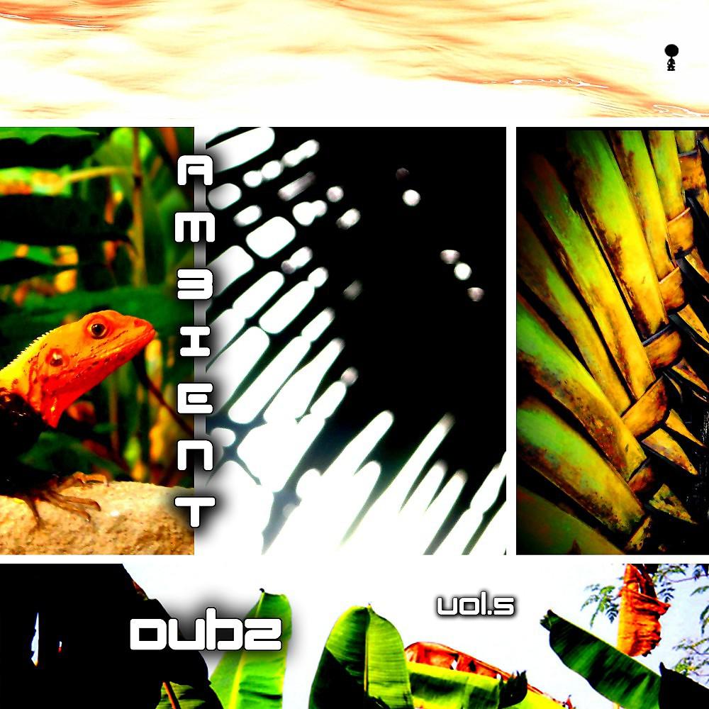 Постер альбома Ambient Dubz, Vol. 5