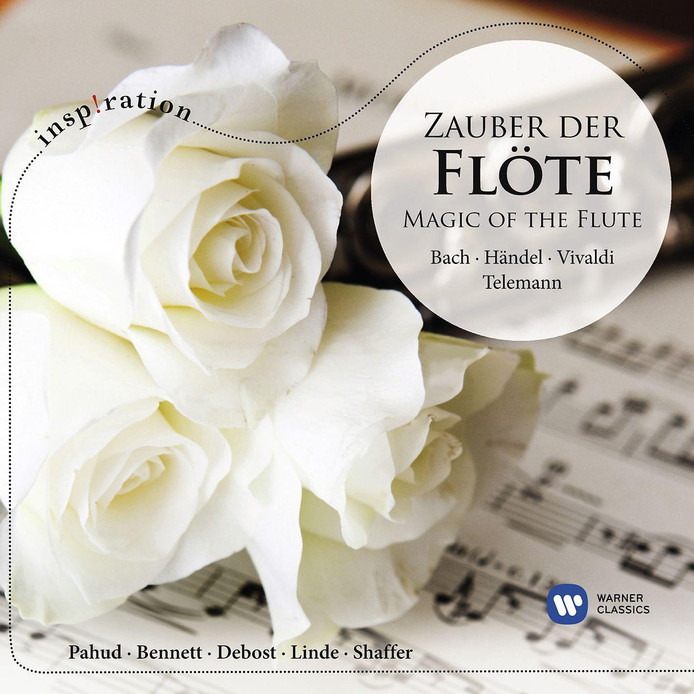 Постер альбома Zauber der Flöte / Magic of the Flute