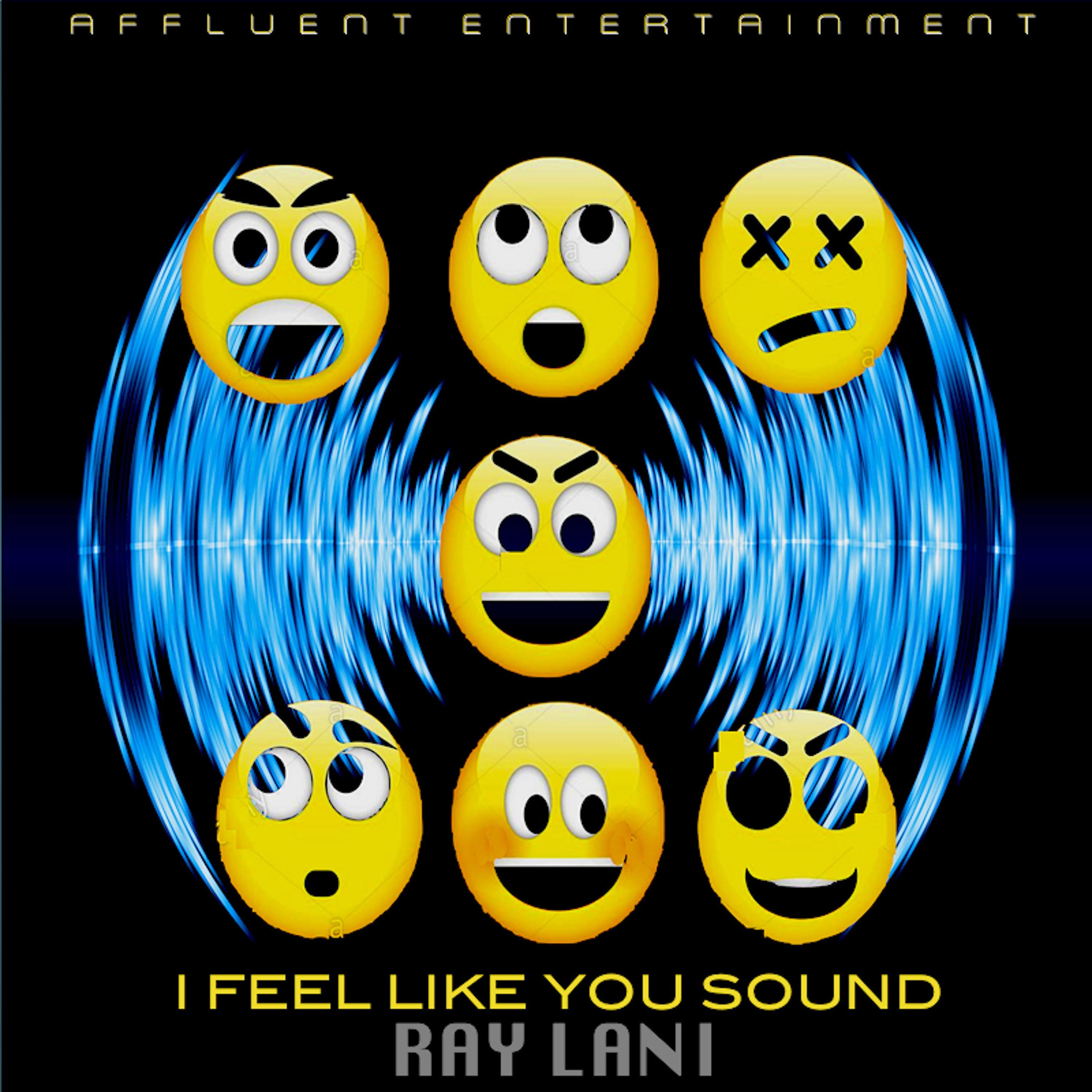 Постер альбома I Feel Like You Sound (Affluent Mix)