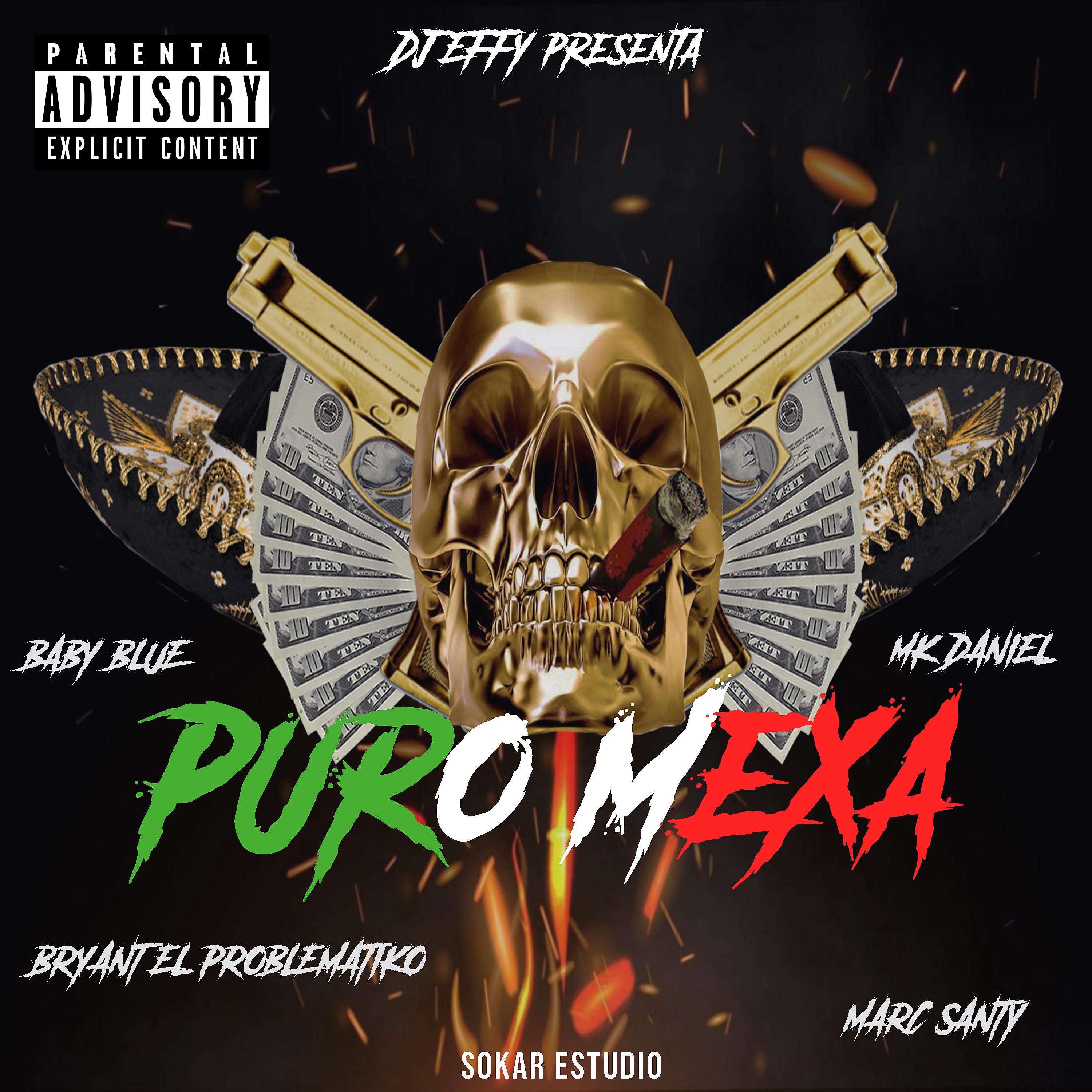Постер альбома Puro Mexa