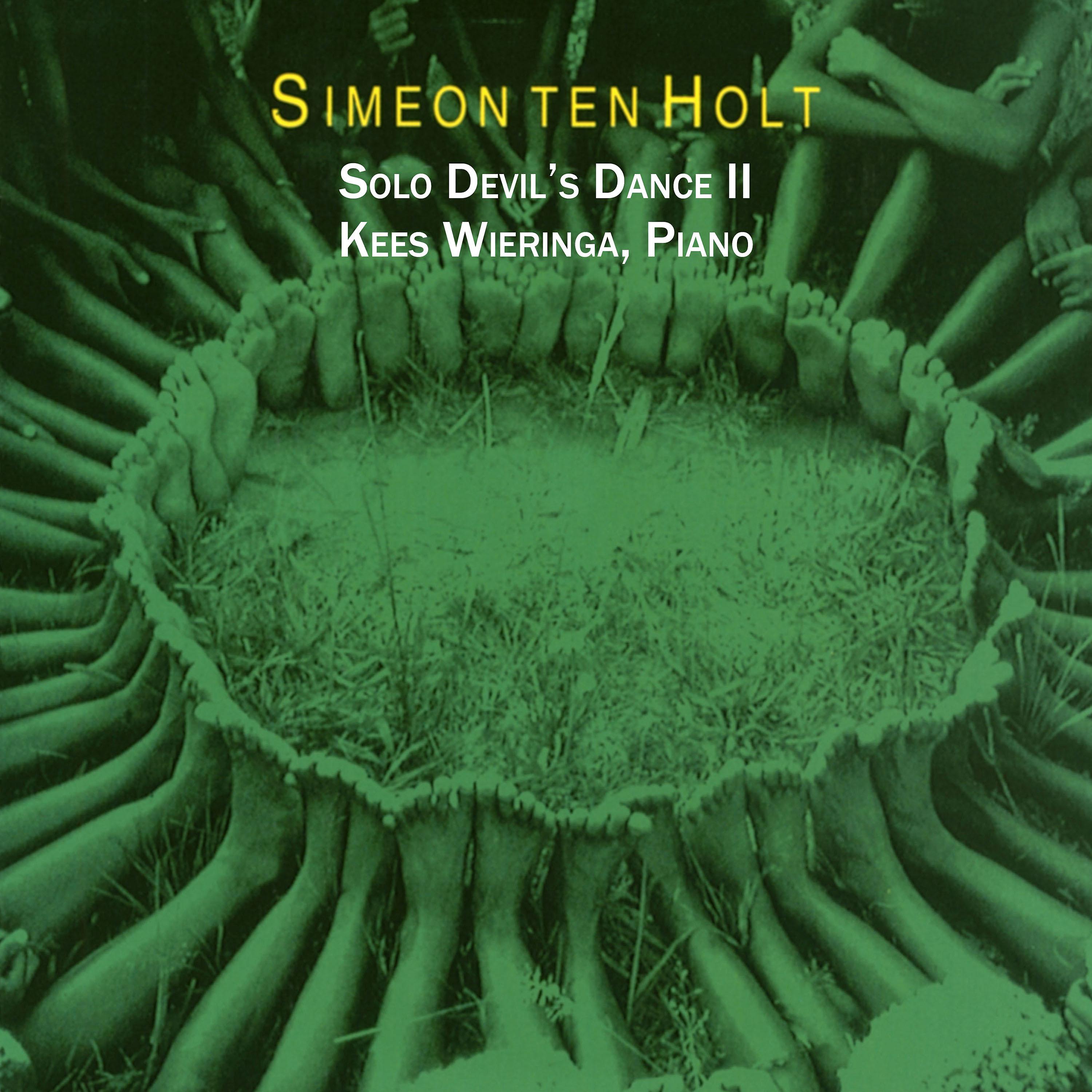 Постер альбома Ten Holt: Solo Devil's Dance II