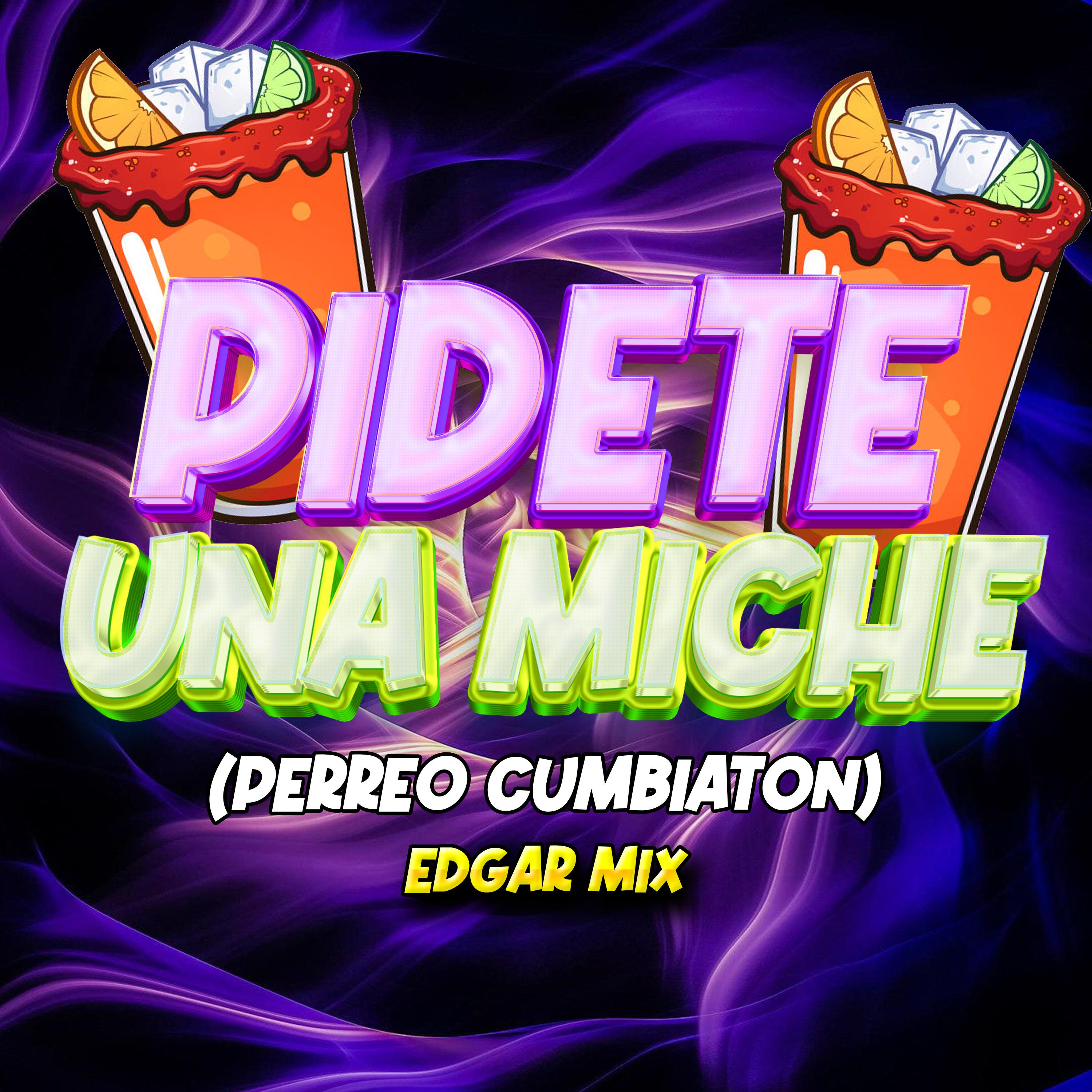 Постер альбома Pidete una Miche (Perreo Cumbiaton)