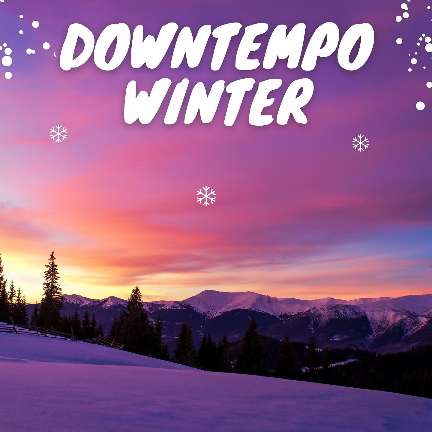 Постер альбома Downtempo Winter