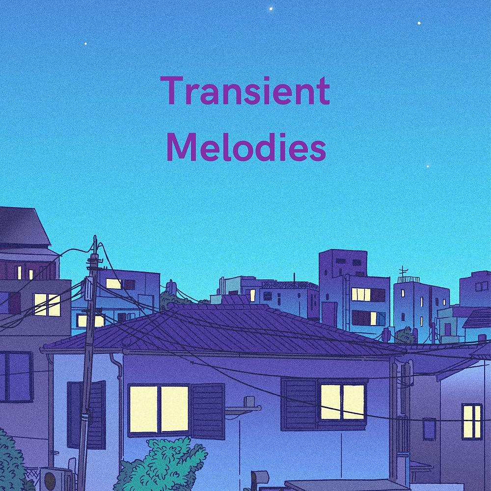 Постер альбома Transient Melodies
