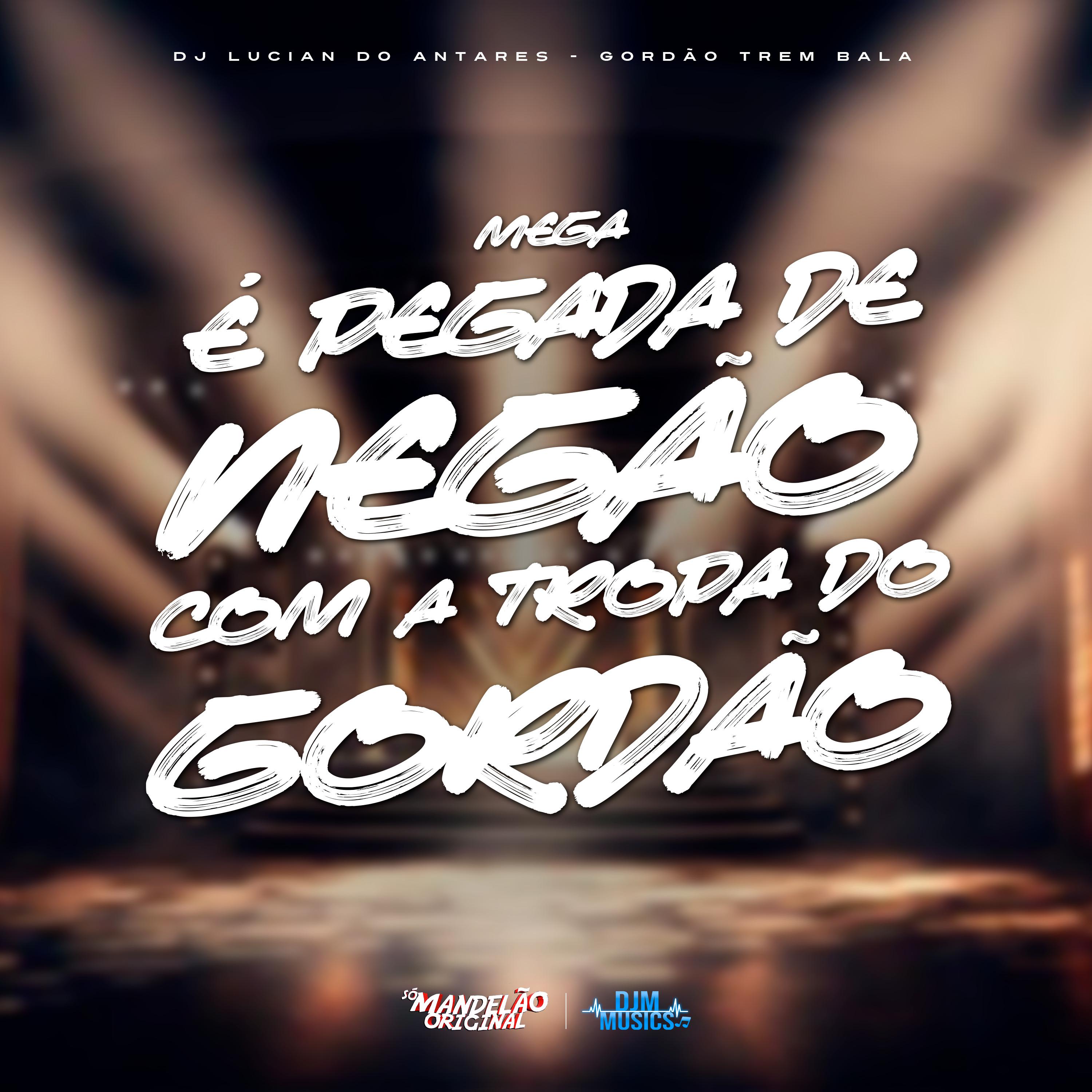 Постер альбома É Pegada de Negão Com a Tropa do Gordão
