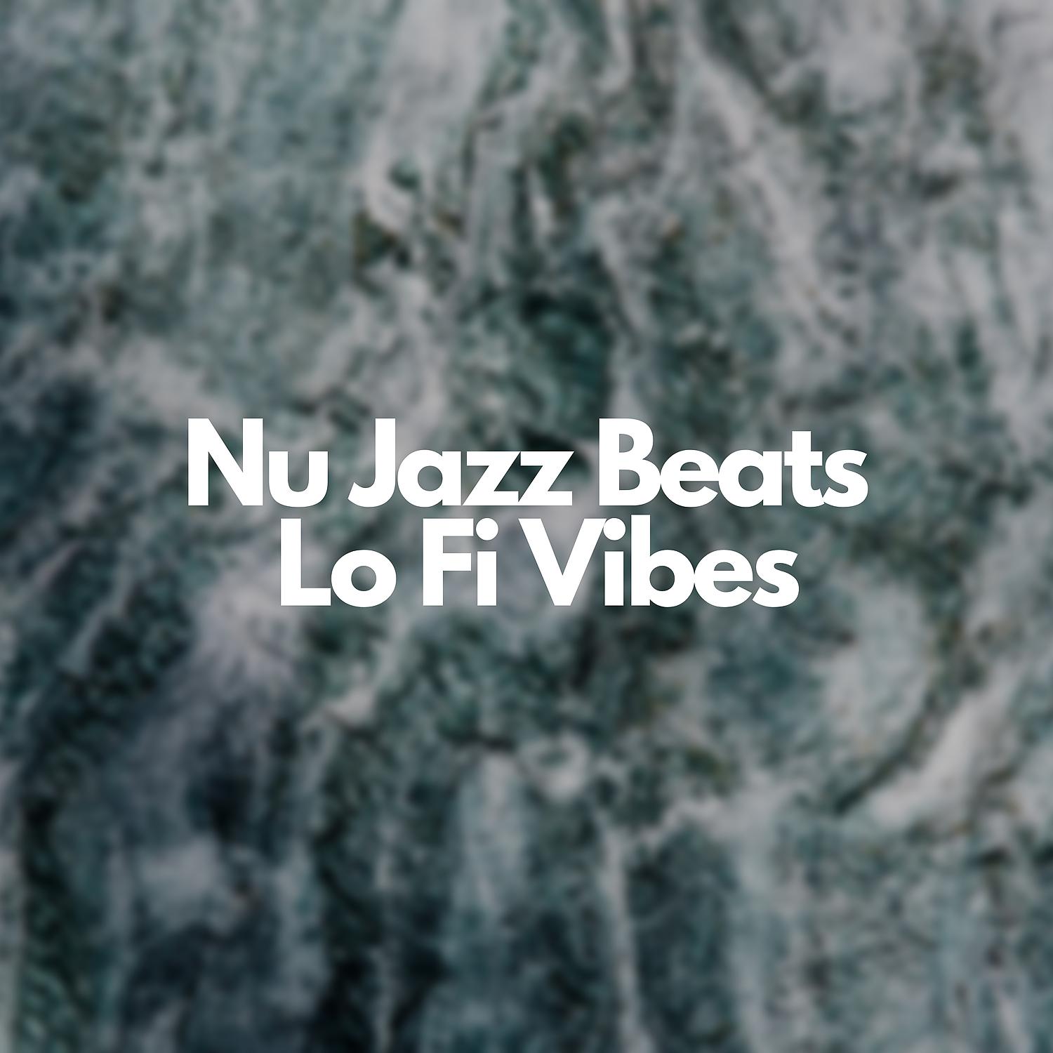 Постер альбома Nu Jazz Beats, Lo Fi Vibes