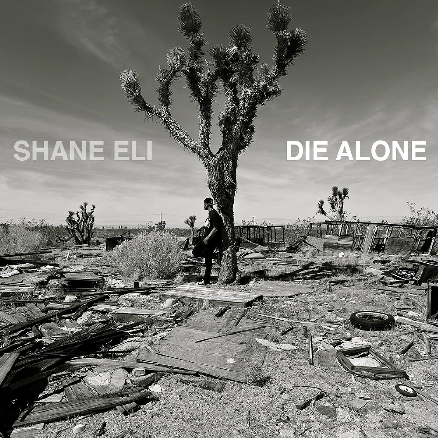 Постер альбома Die Alone (feat. Jason Caesar) - Single