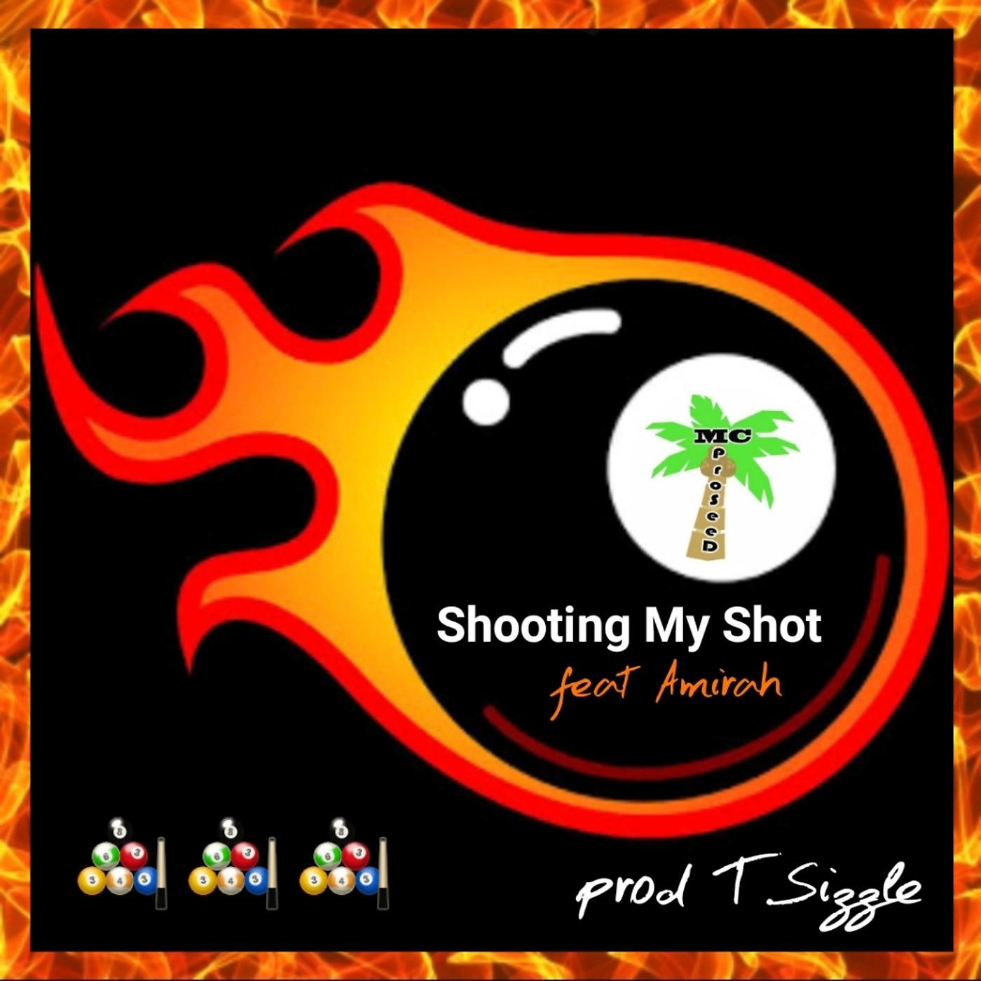 Постер альбома Shooting My Shot