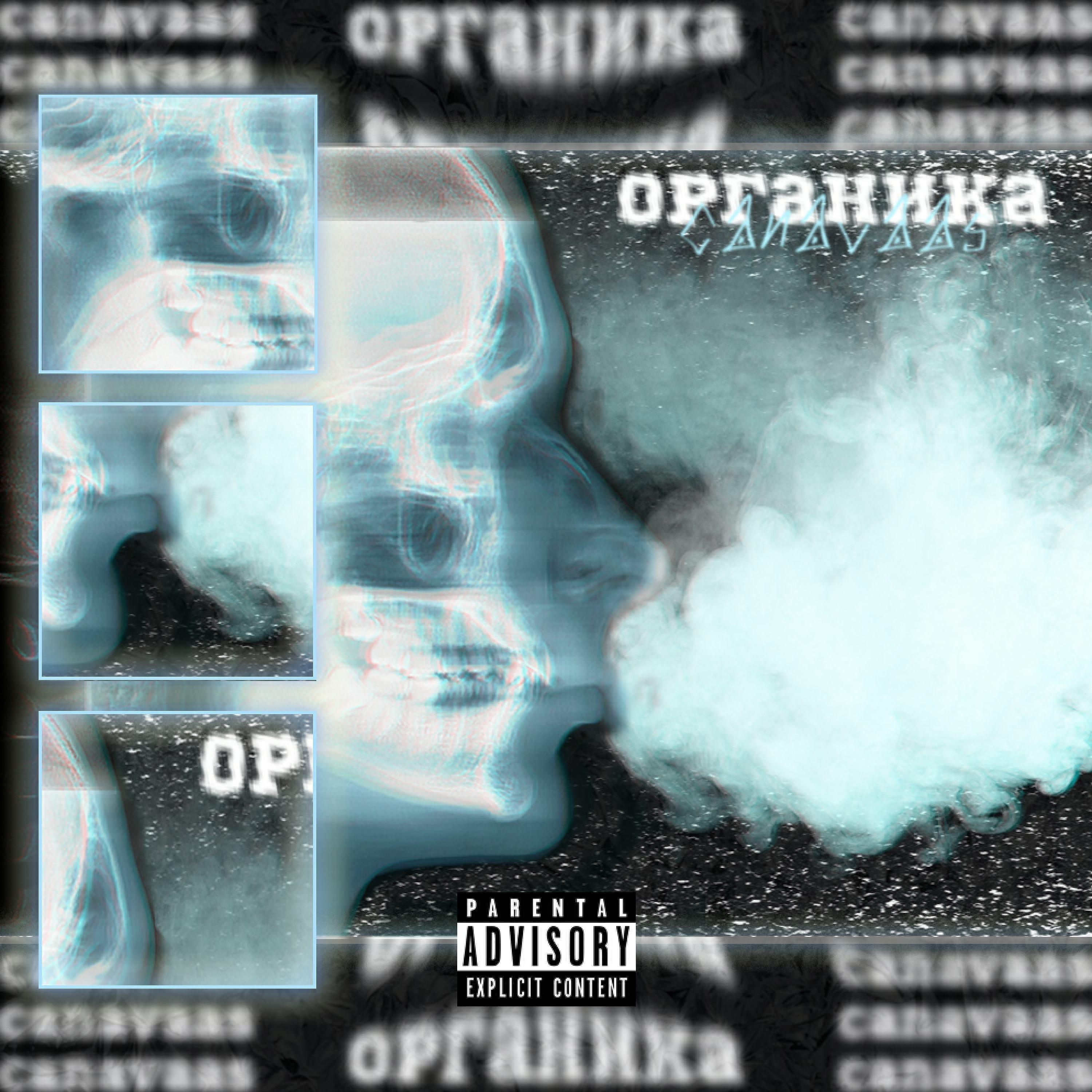 Постер альбома Органика