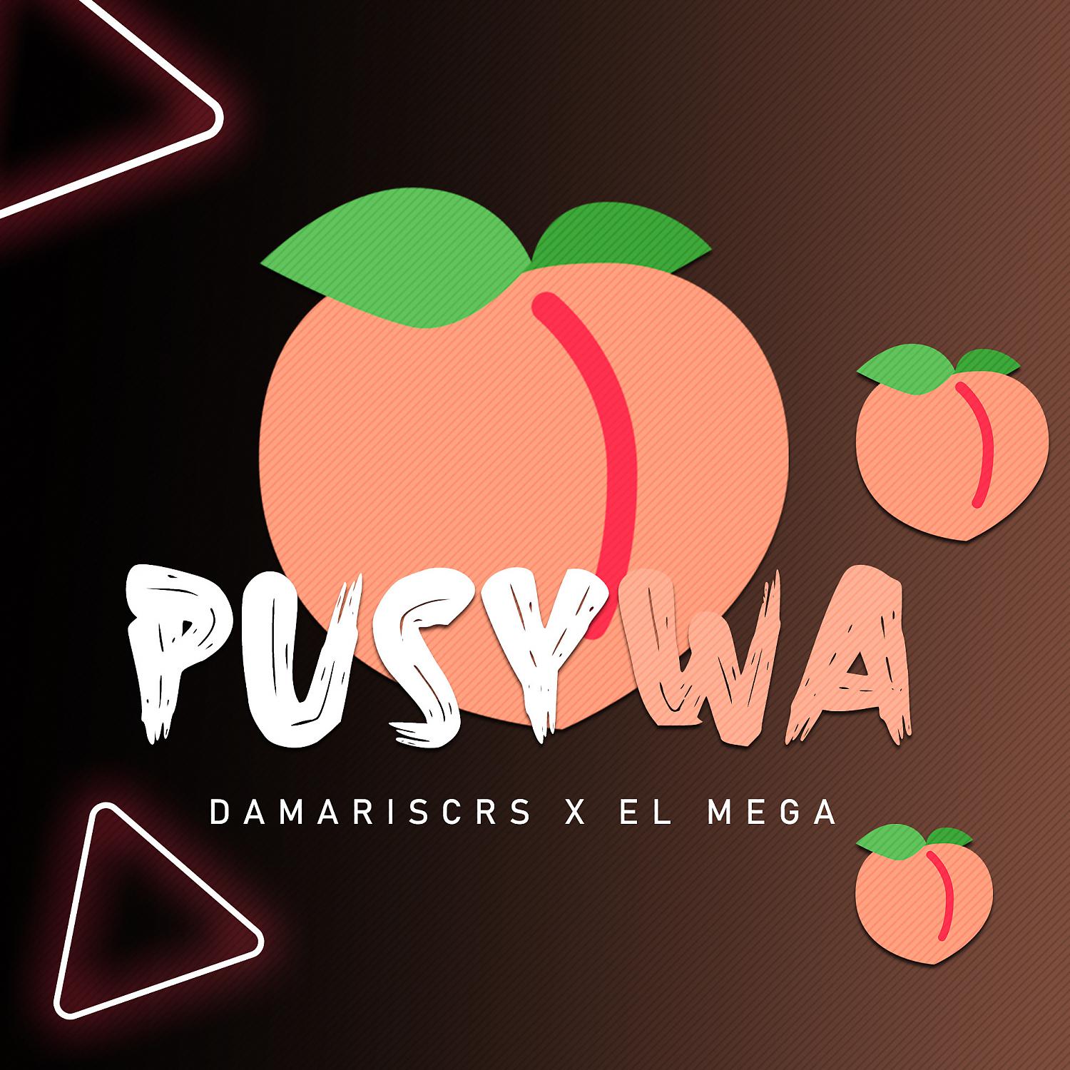Постер альбома PUSYWA
