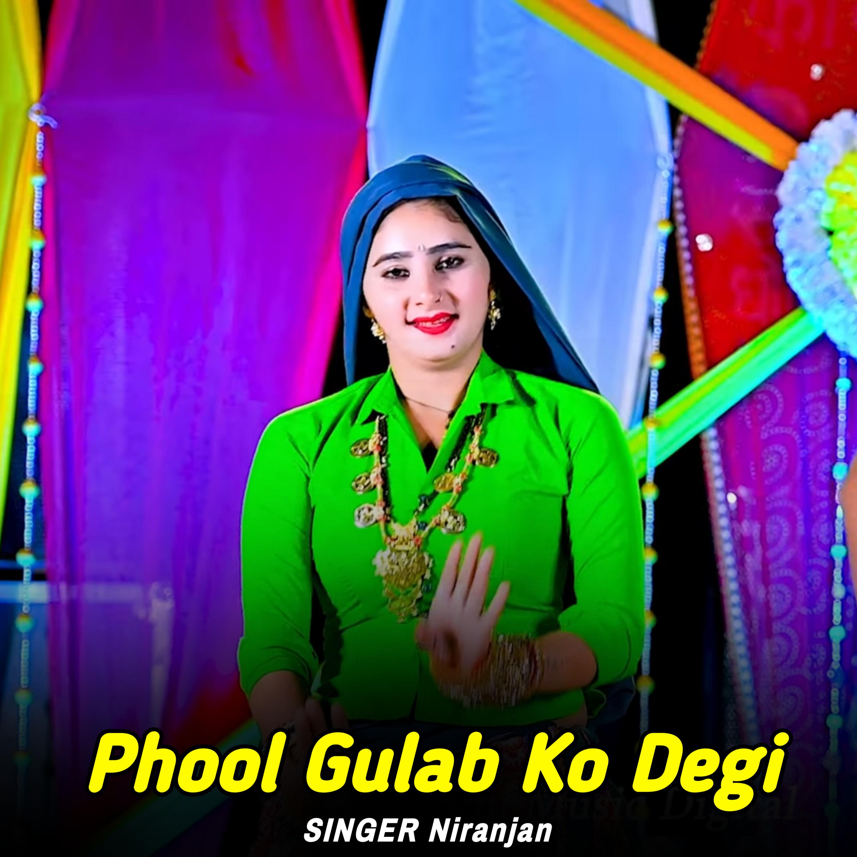 Постер альбома Phool Gulab Ko Degi
