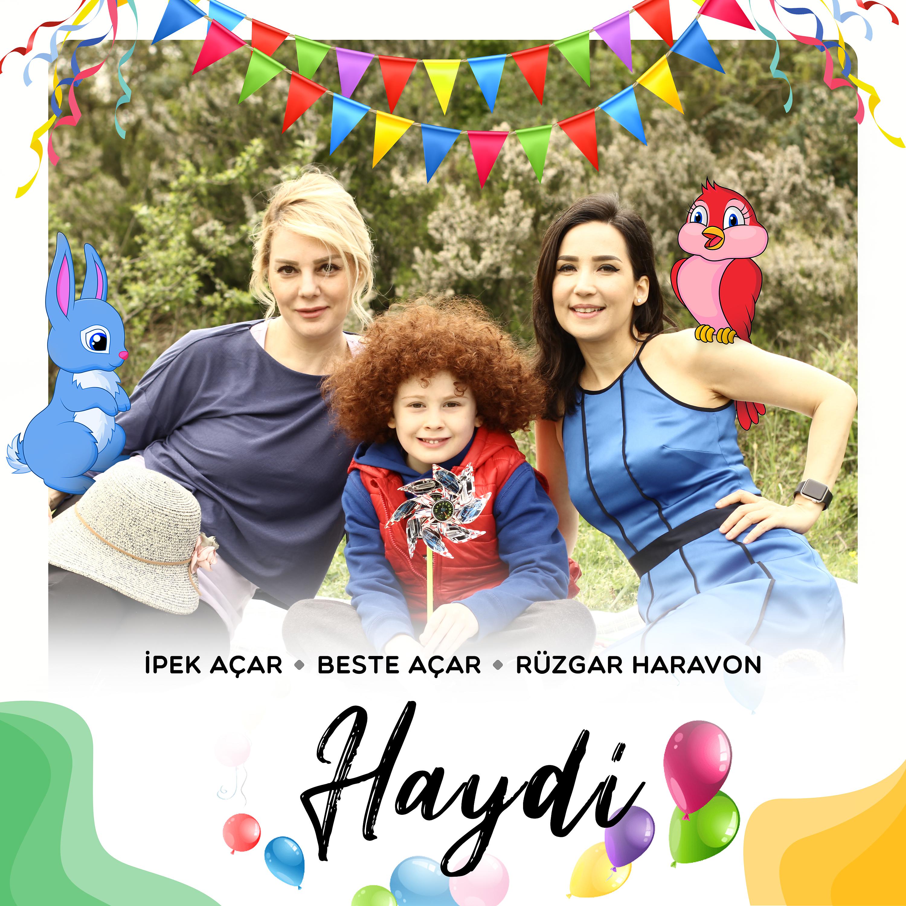 Постер альбома Haydi