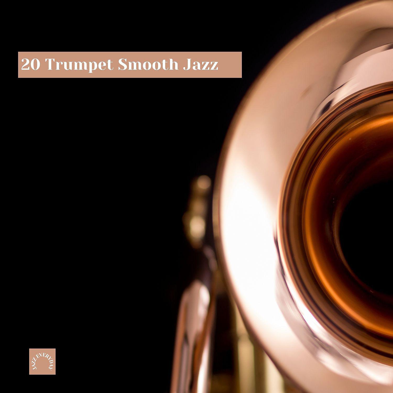Постер альбома 20 Trumpet Smooth Jazz