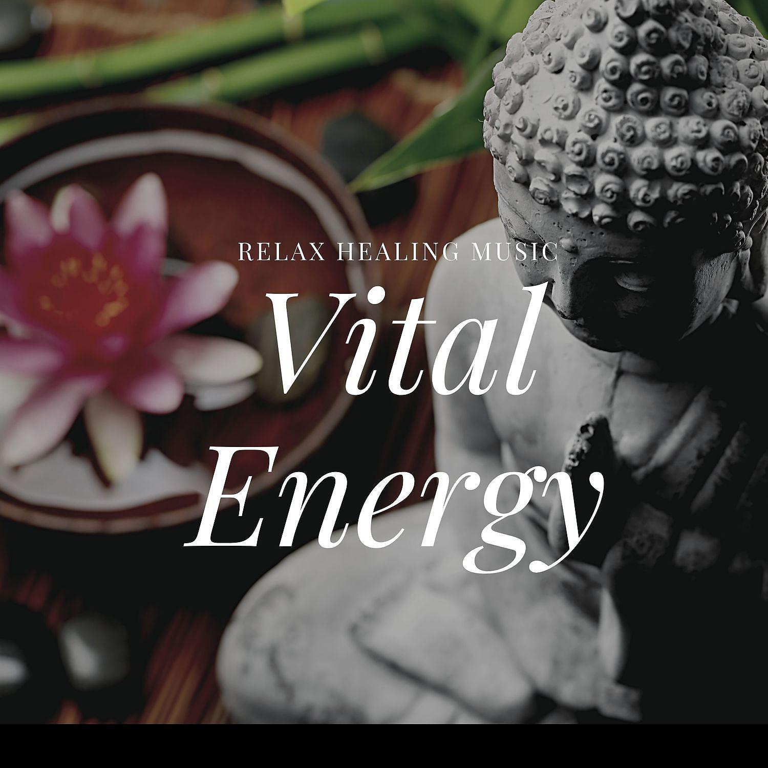 Постер альбома Vital Energy Relax Healing Music