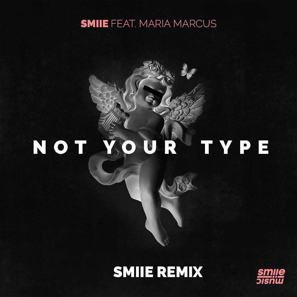 Постер альбома Not Your Type (smiie Remix)