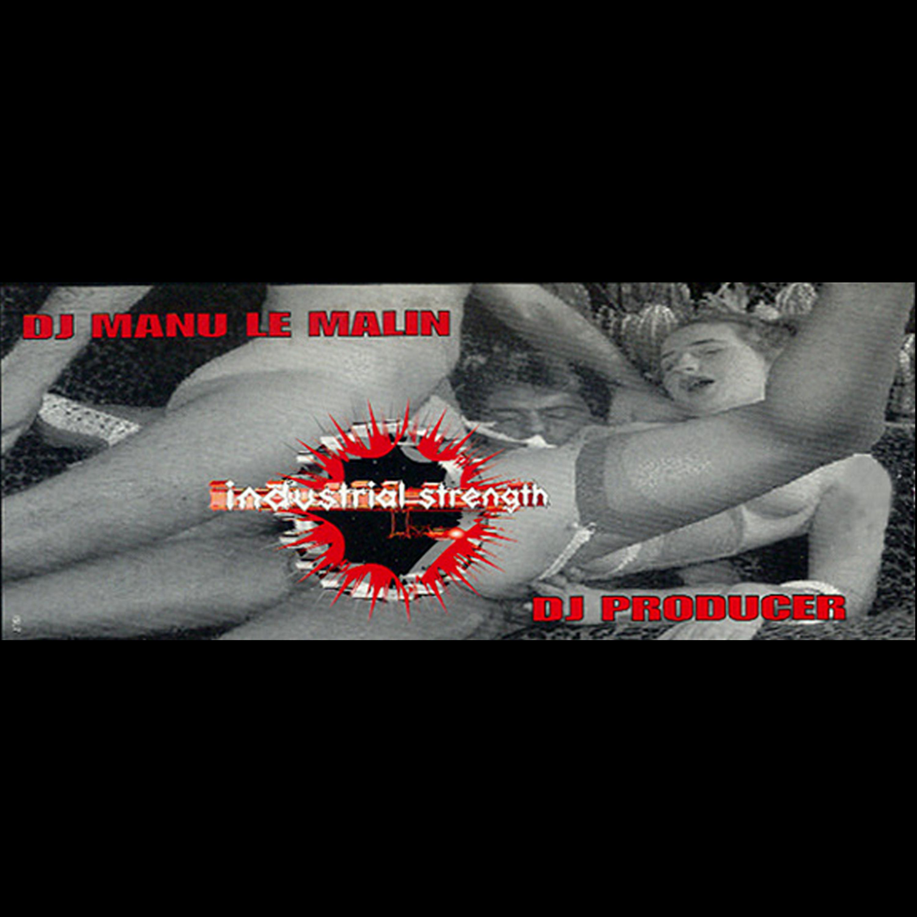 Постер альбома Manu Le Malin & Dj Producer