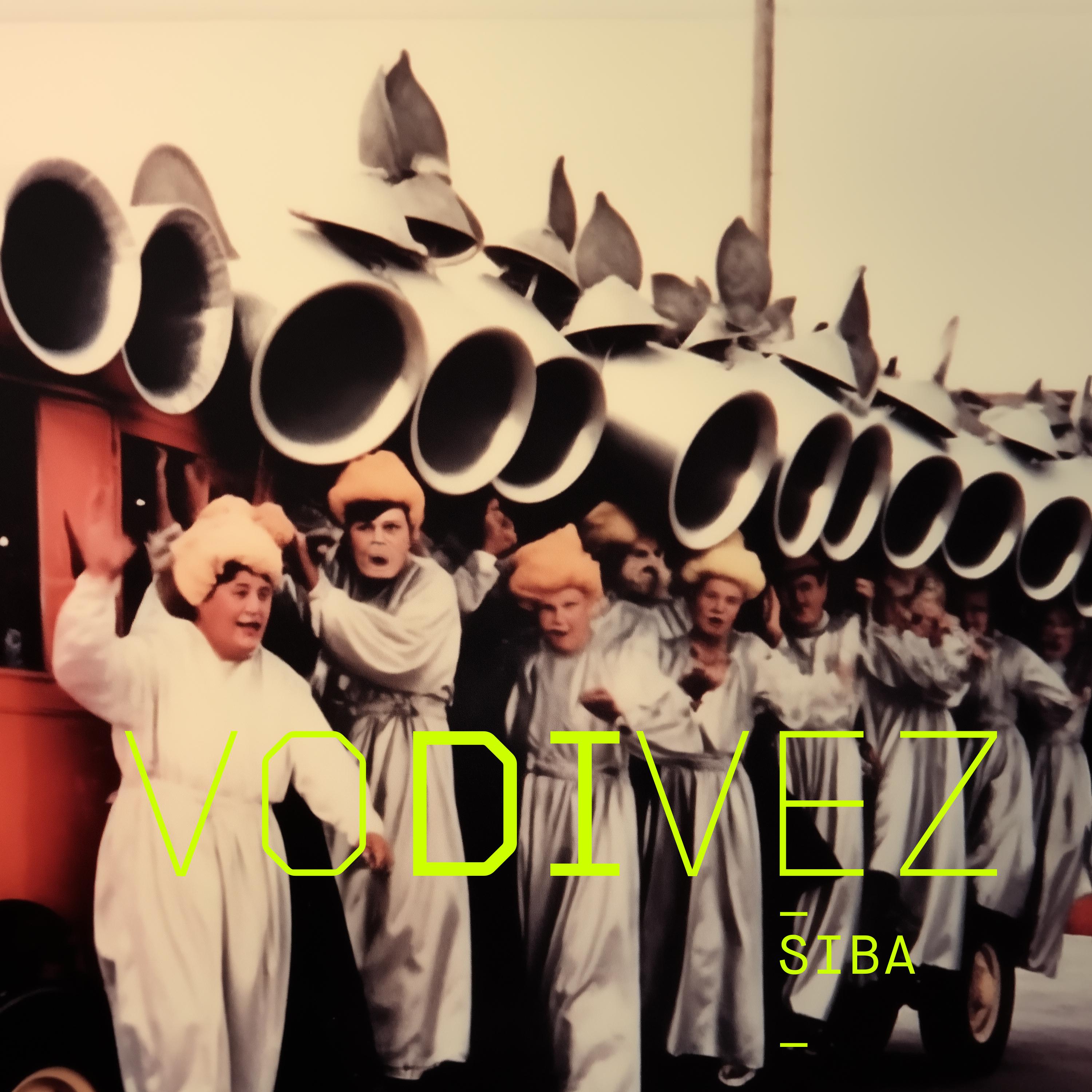 Постер альбома Vodivez