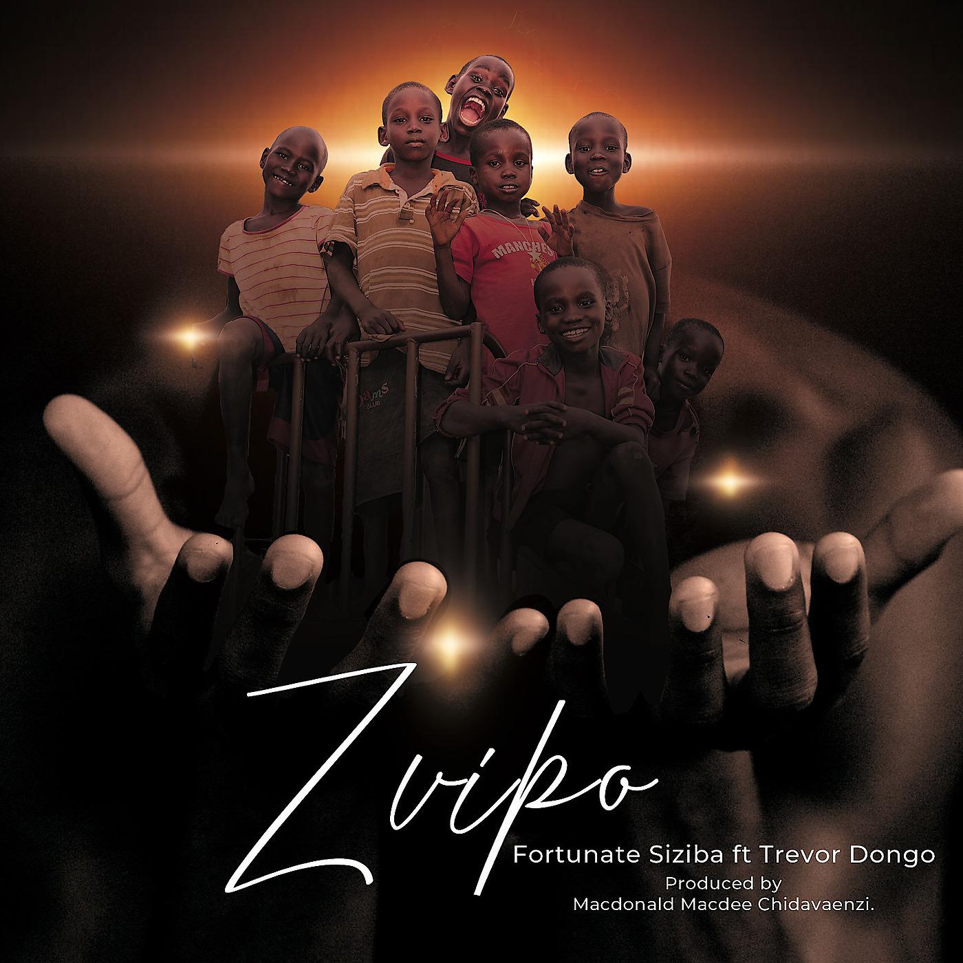 Постер альбома Zvipo