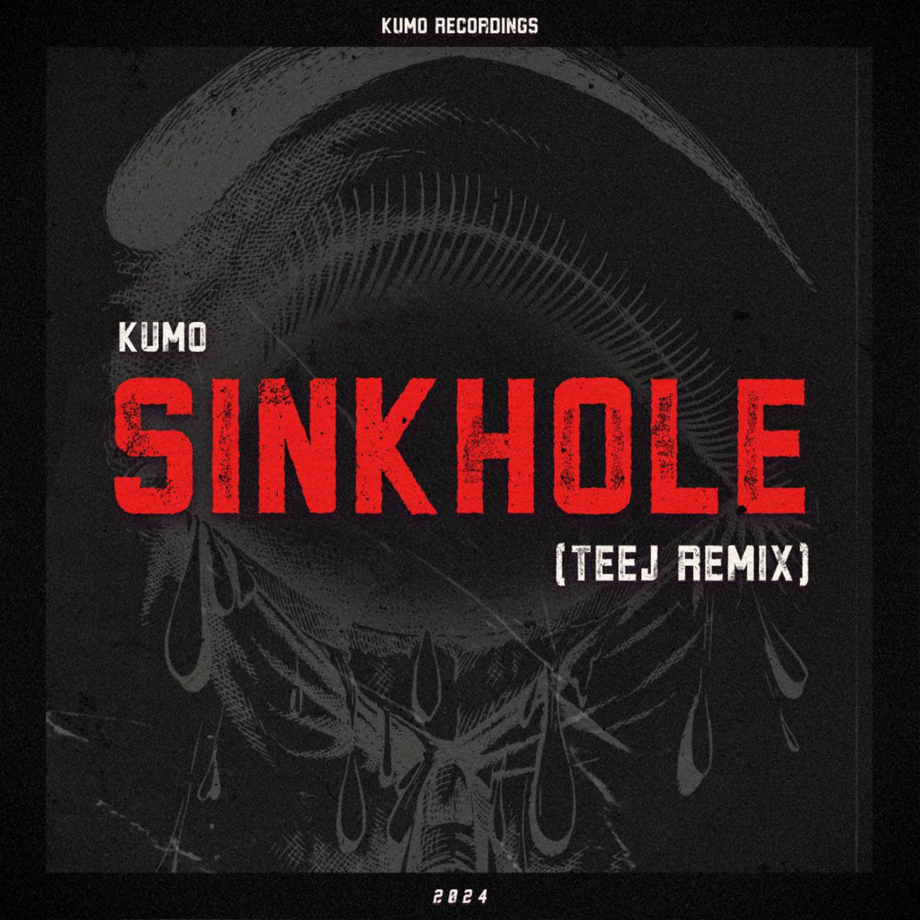 Постер альбома Sinkhole (Teej Remix)