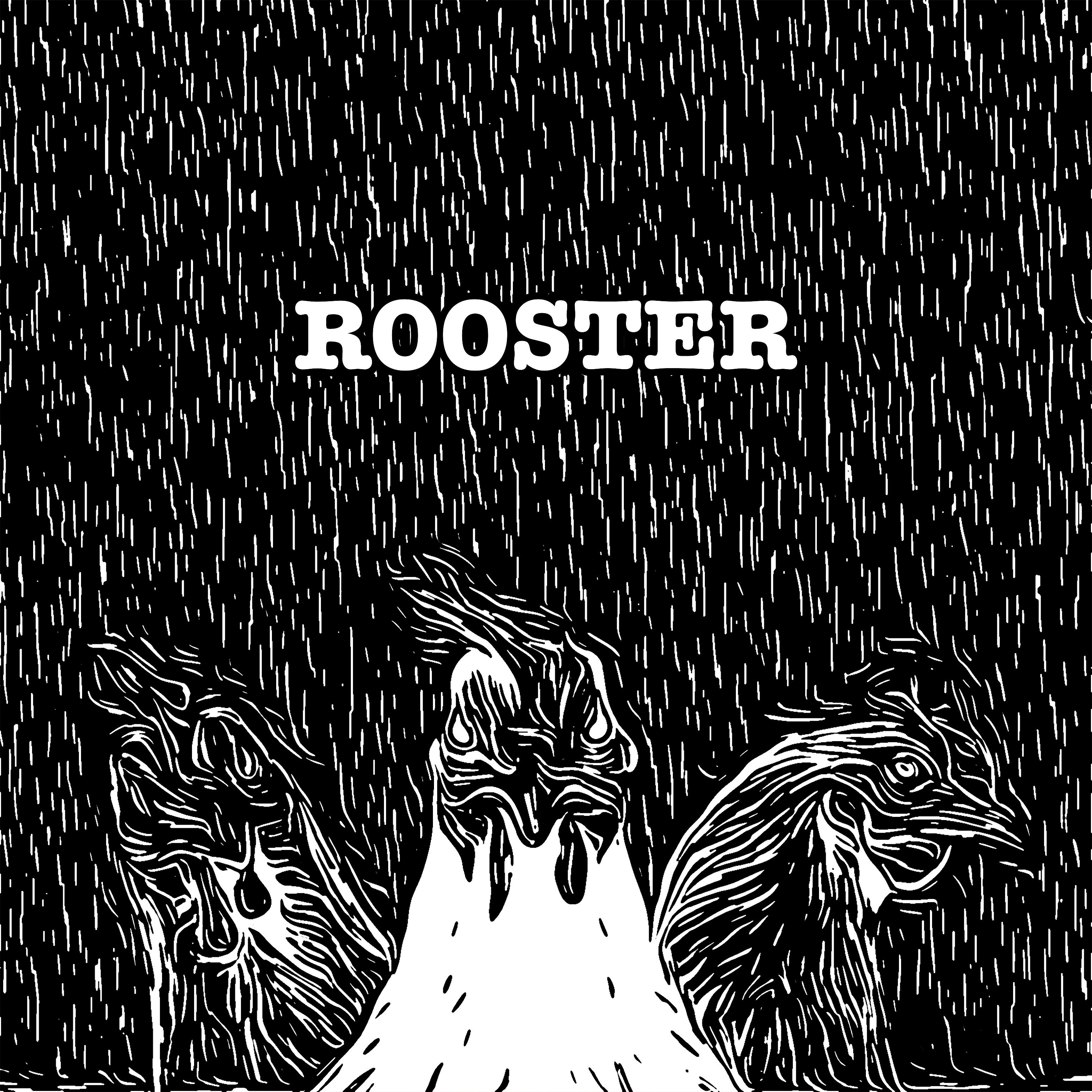 Постер альбома Rooster