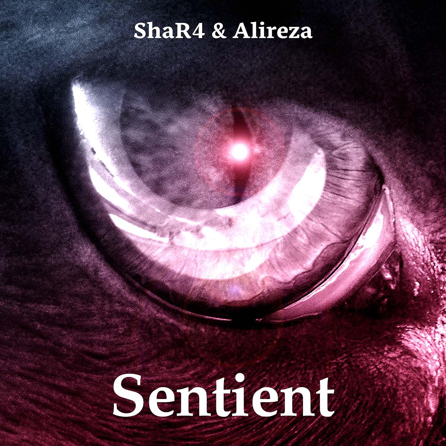 Постер альбома Sentient