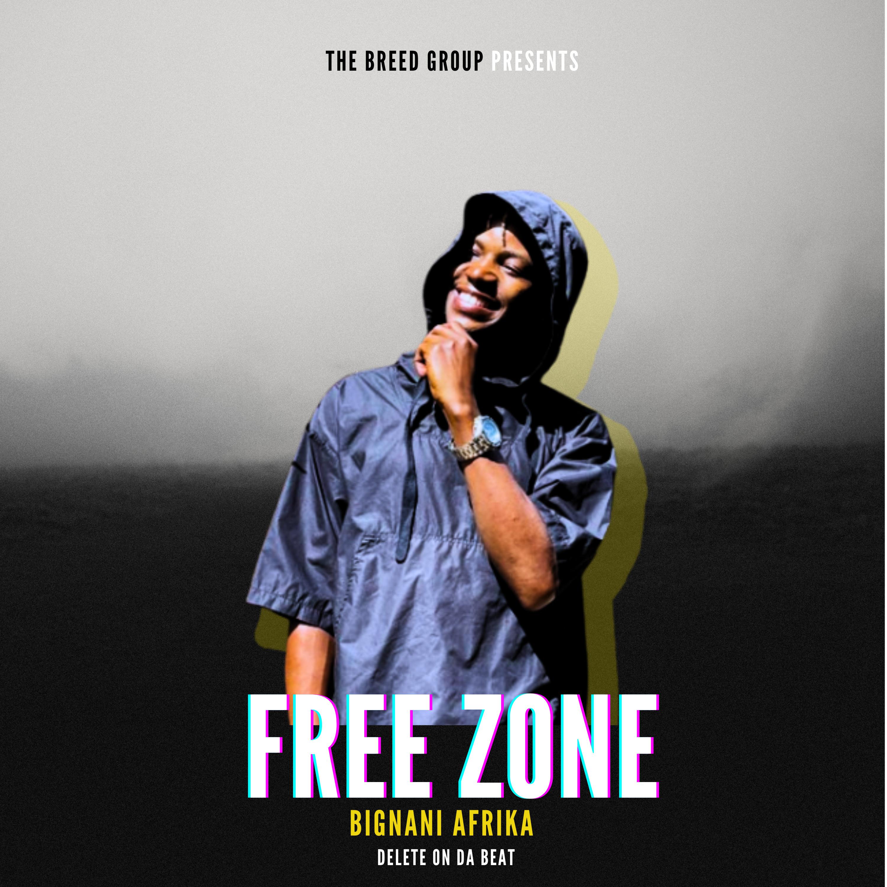 Постер альбома Free Zone
