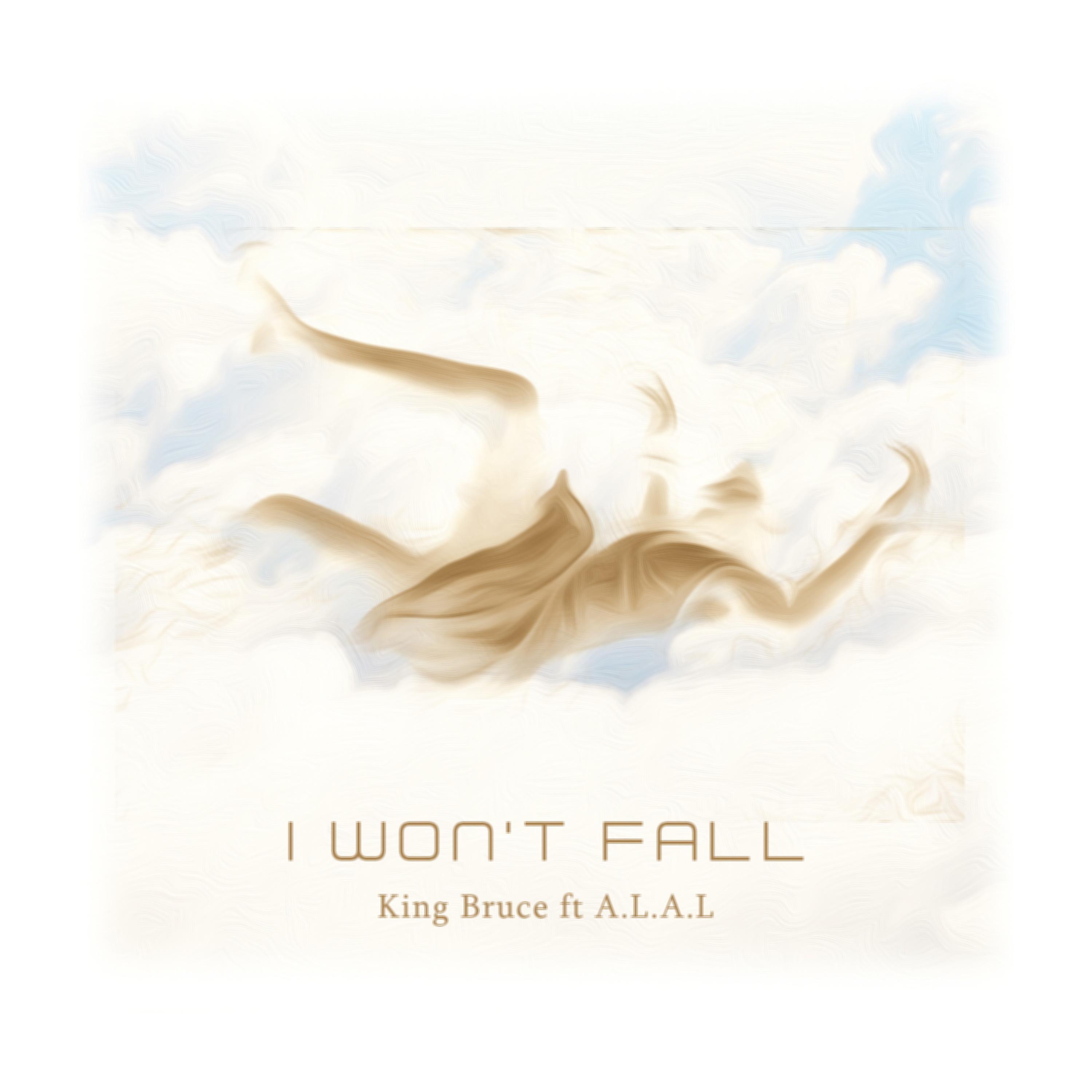 Постер альбома I Won't Fall