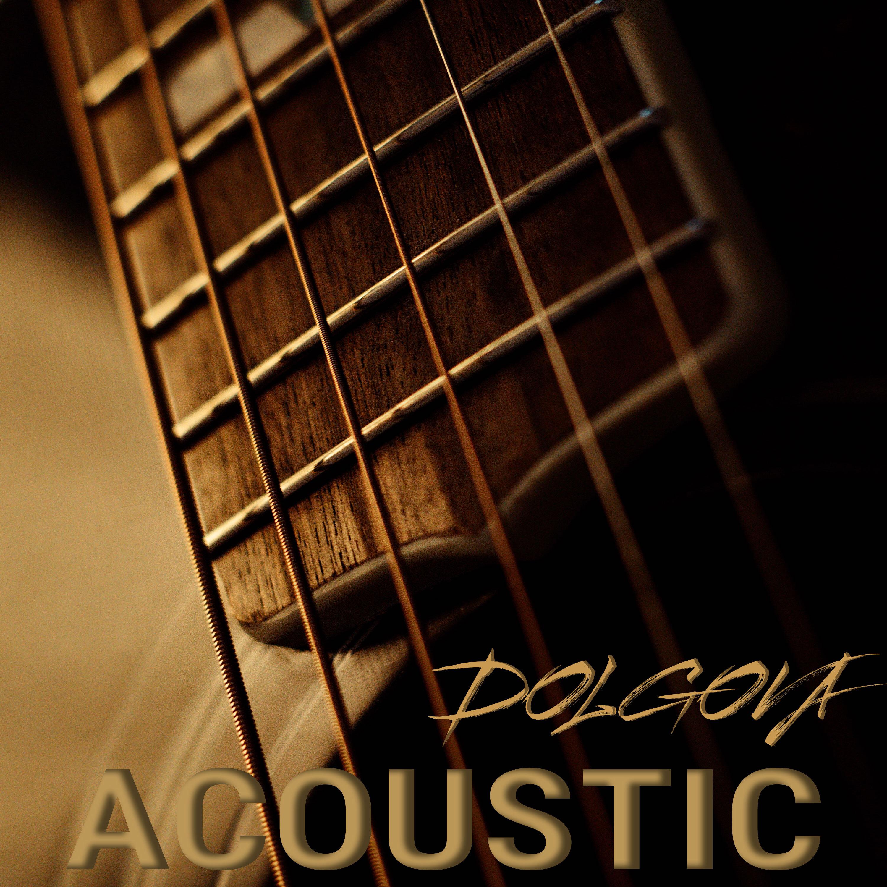 Постер альбома Dolgova Acoustic