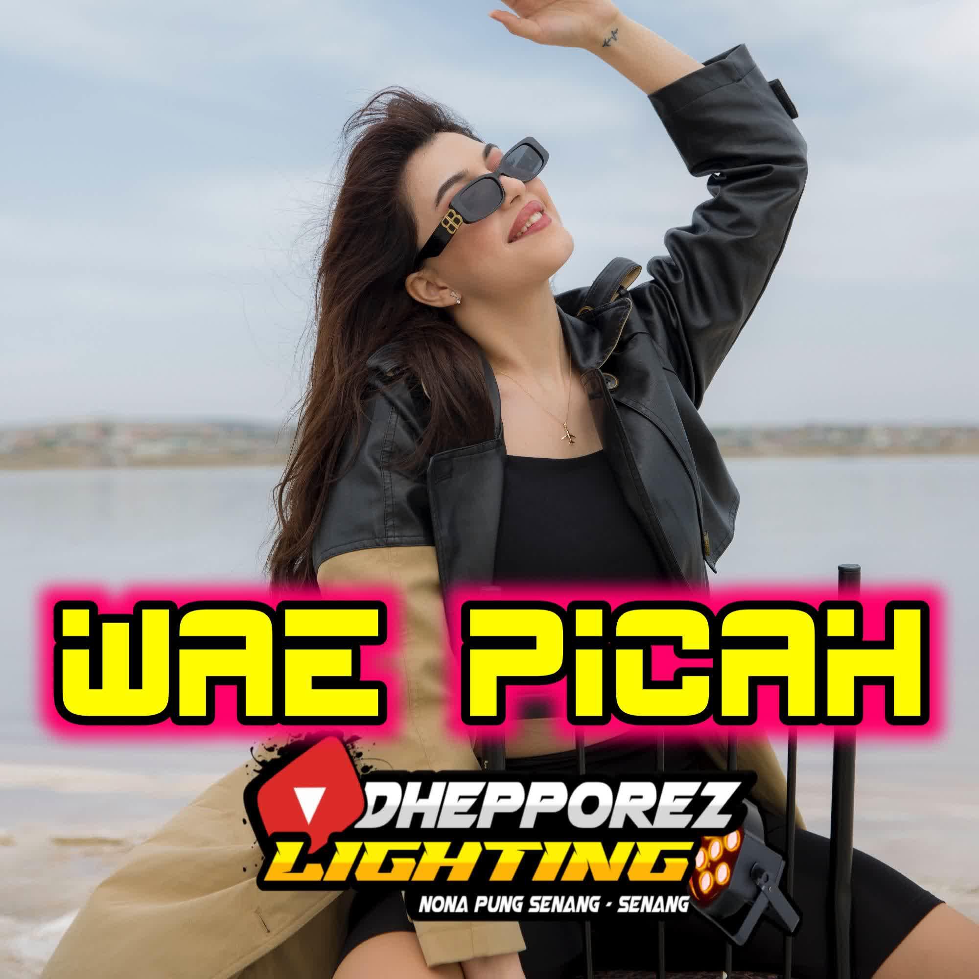 Постер альбома DJ - Wae Picah Meledak