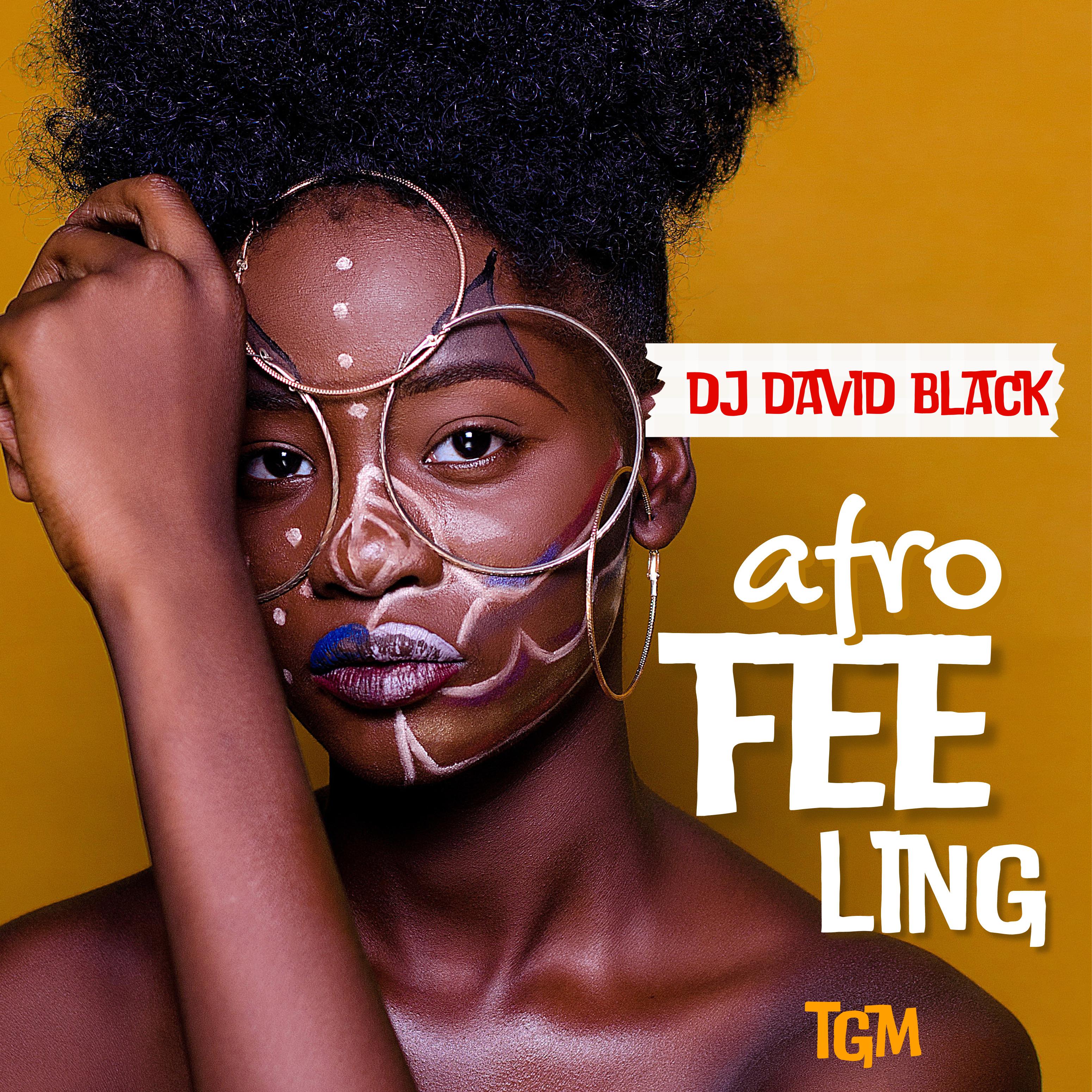 Постер альбома Afro Feeling