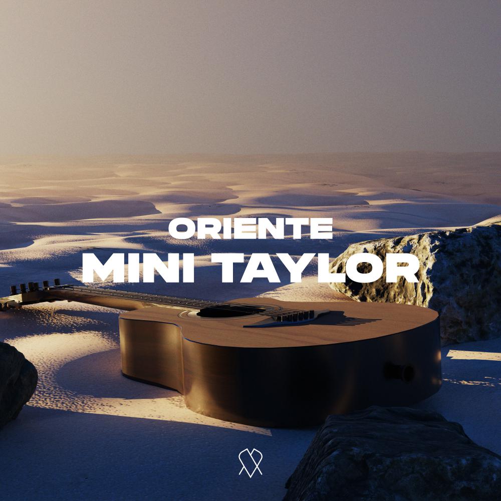 Постер альбома Mini Taylor